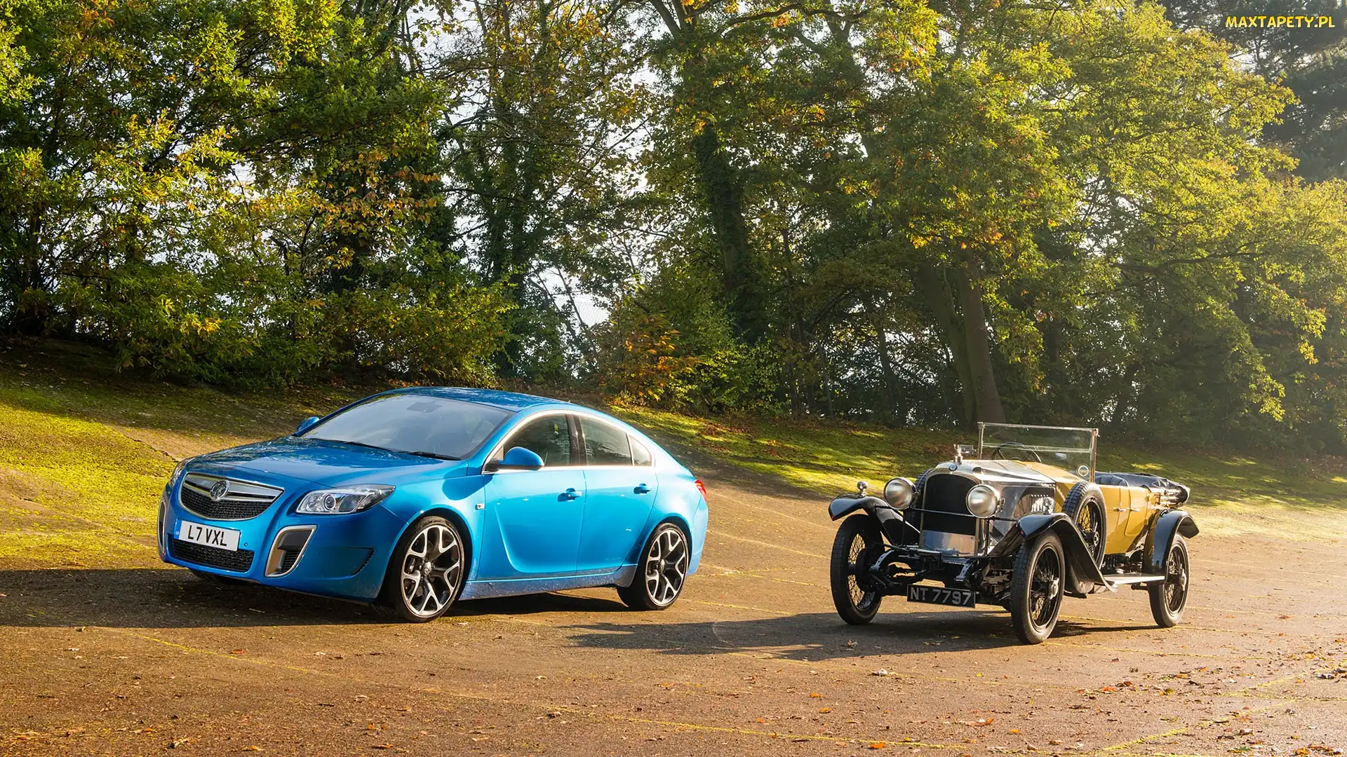 Zabytkowy, Zieleń, Opel Insignia OPC