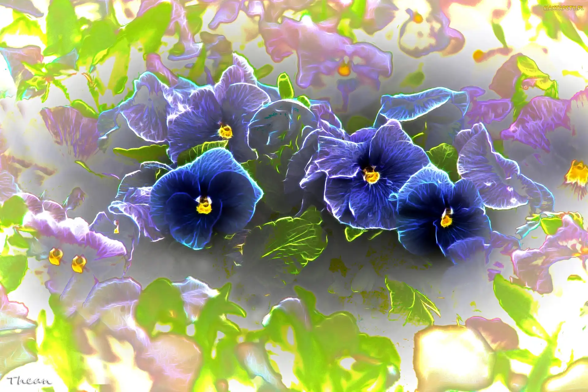Bratki, Fractalius, Niebieskie