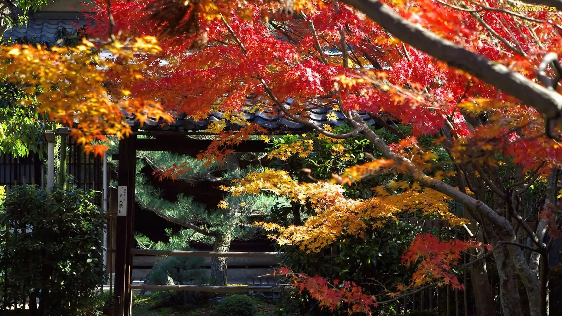 Kioto, Japonia, Park