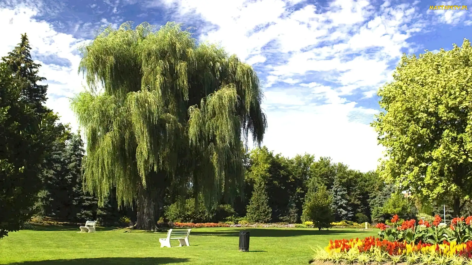 Toronto, Kanada, Park