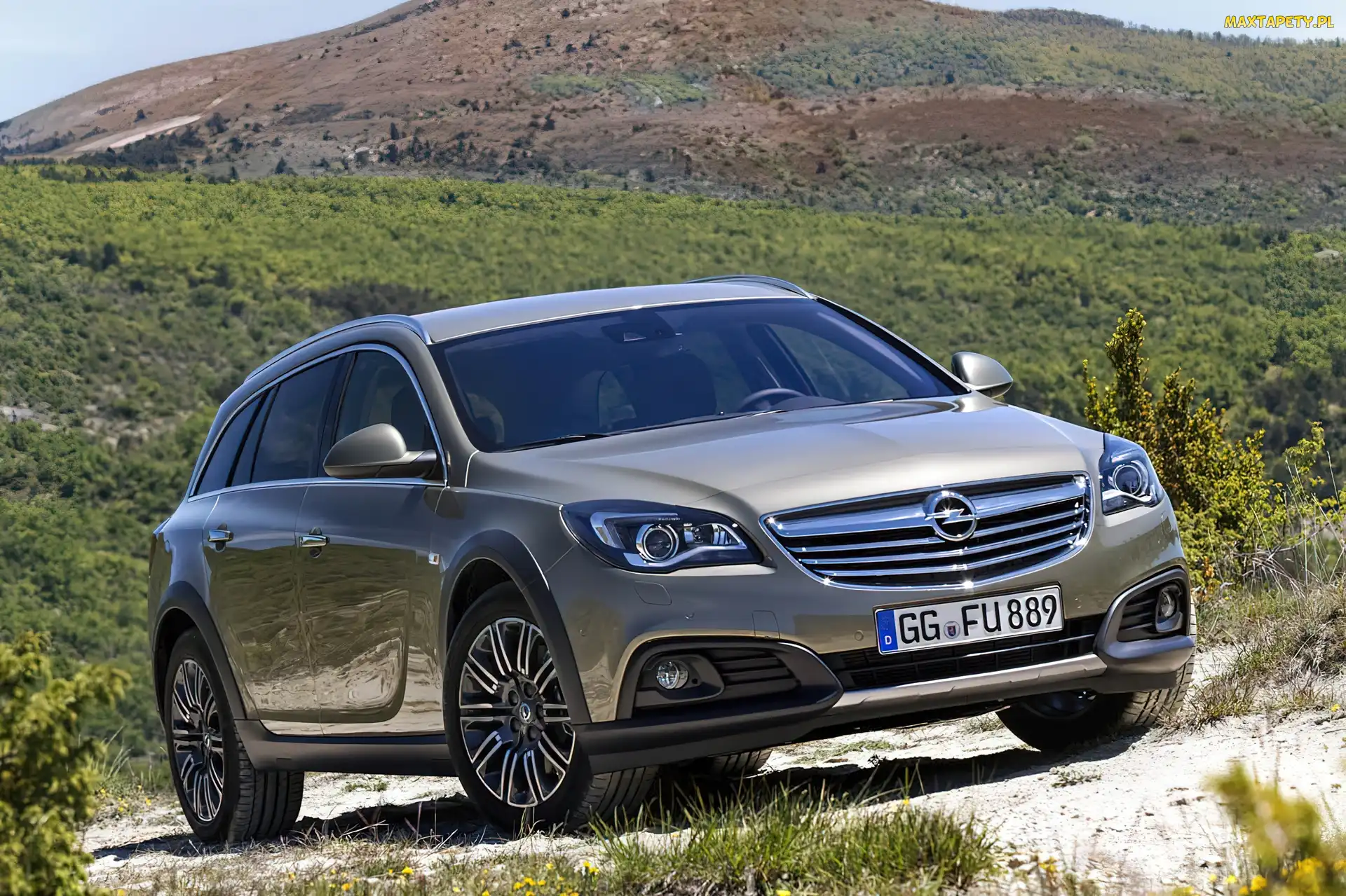 Góry, Zieleń, Opel Insignia Country