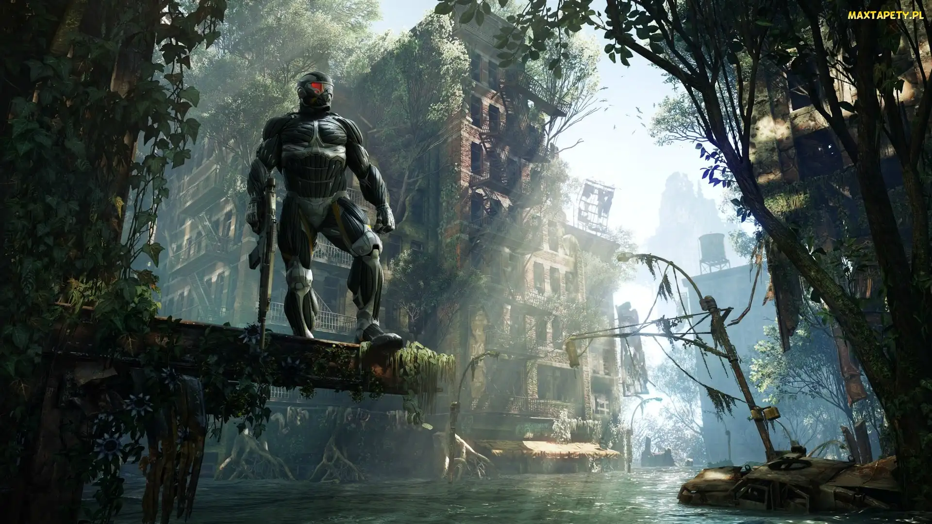 Uzbrojona, Drzewa, Woda, Postać, Crysis 3