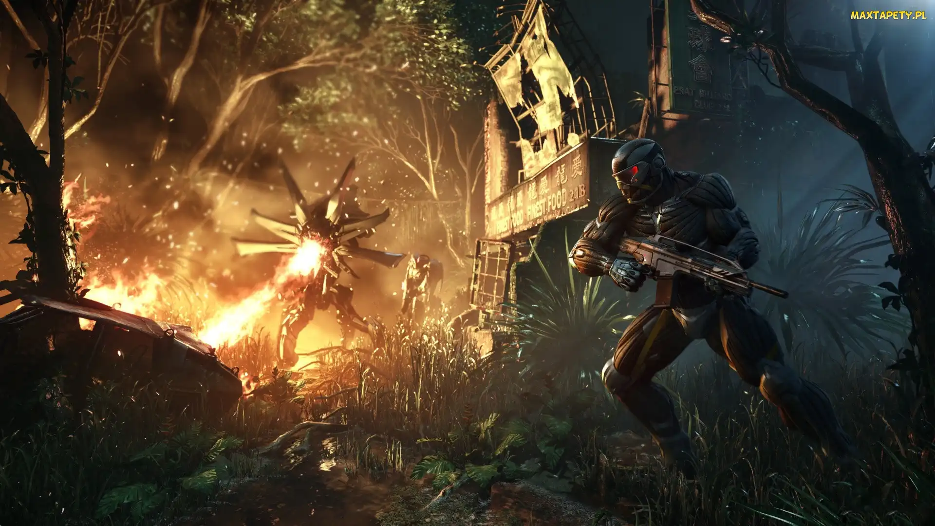 Crysis 3, Ogień, Broń, Postać