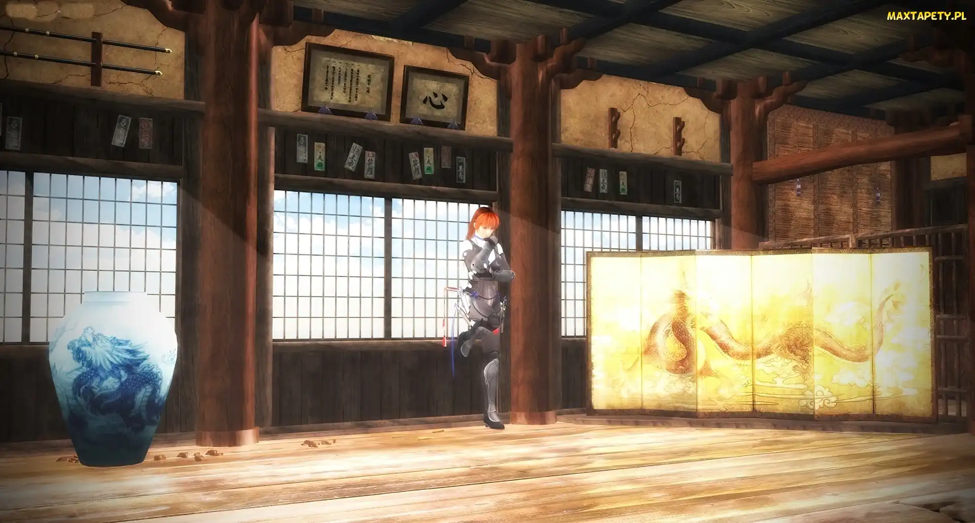 Kasumi, Dead Or Alive 5