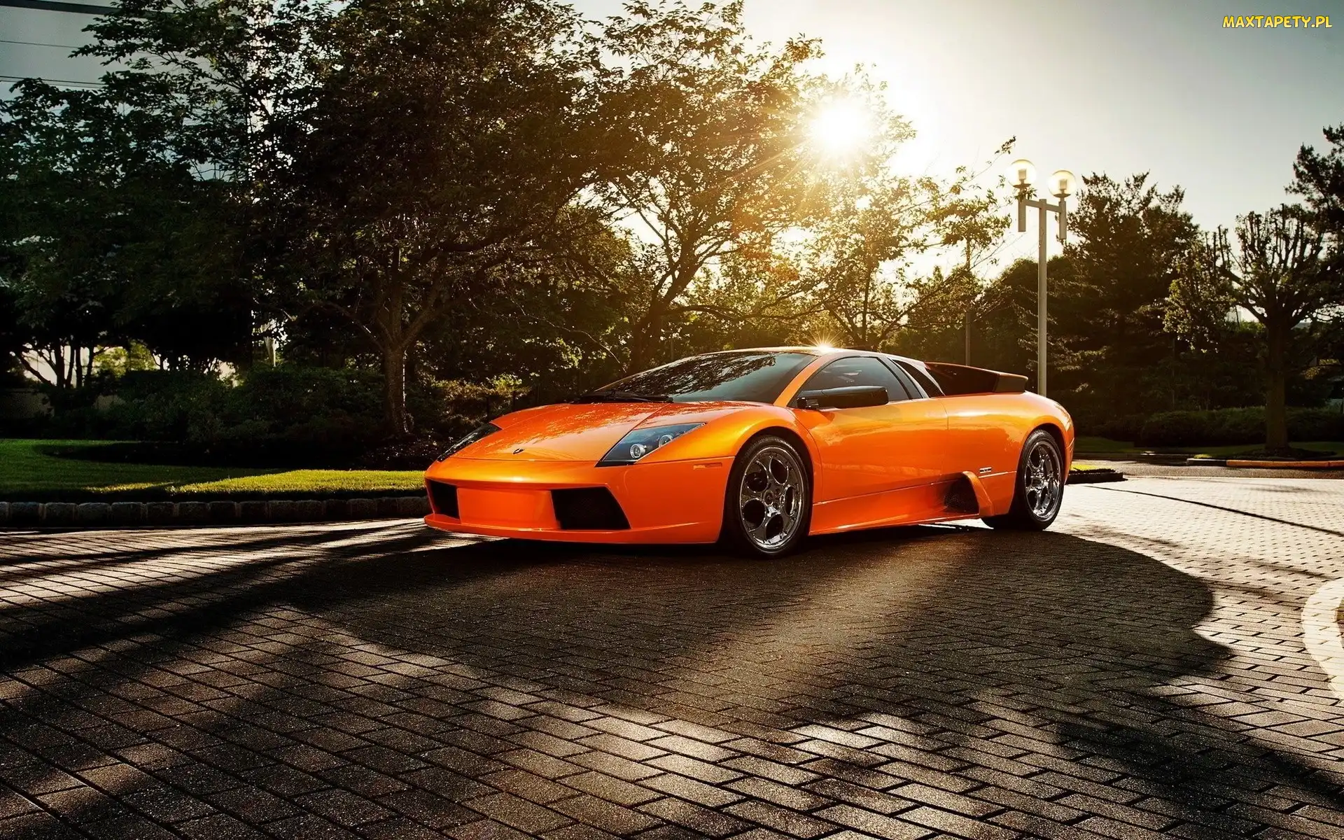 Drzewa, Ulica, Pomarańczowe, Lamborghini