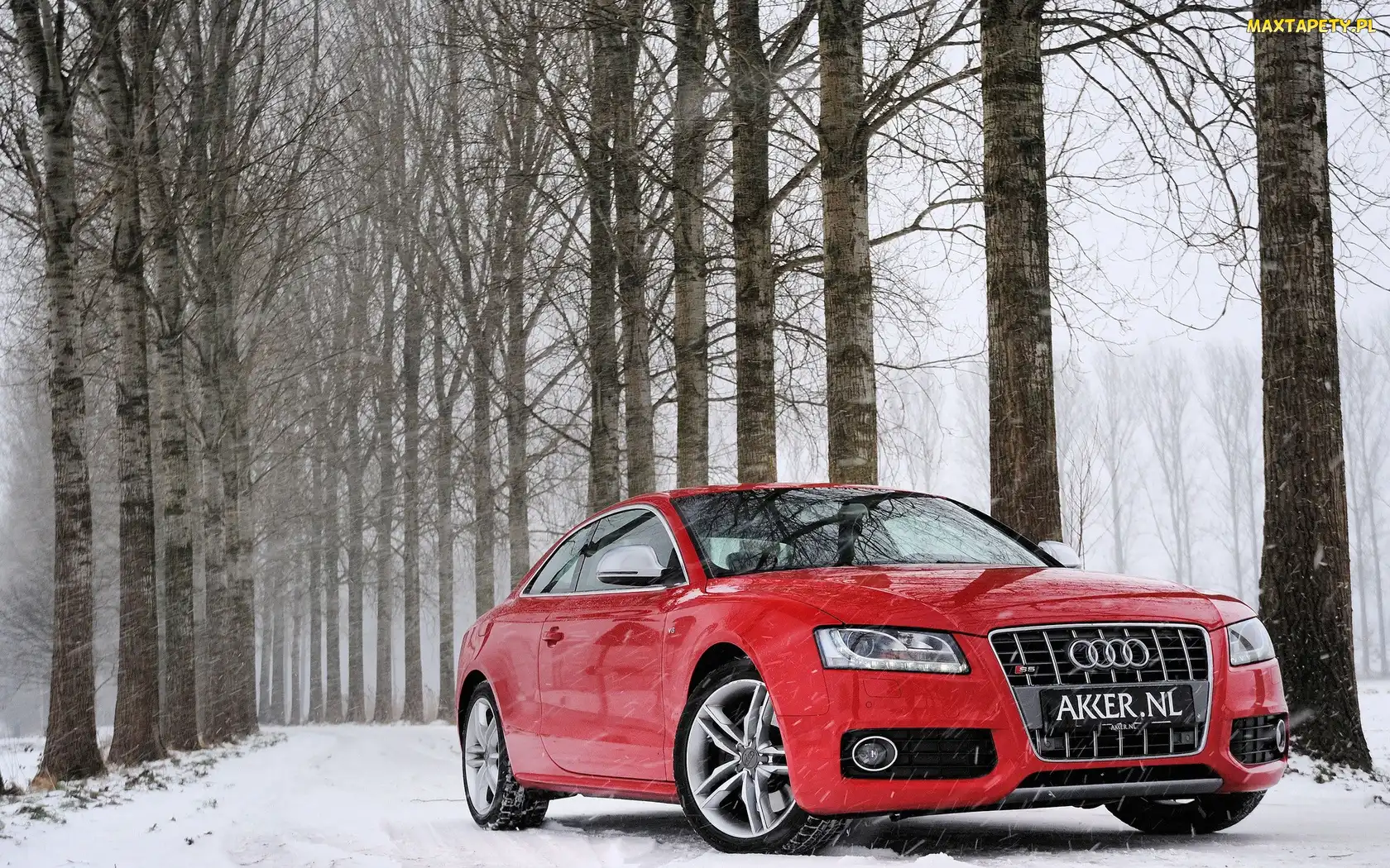 Audi S5, Śnieg, Droga, Las, Czerwone