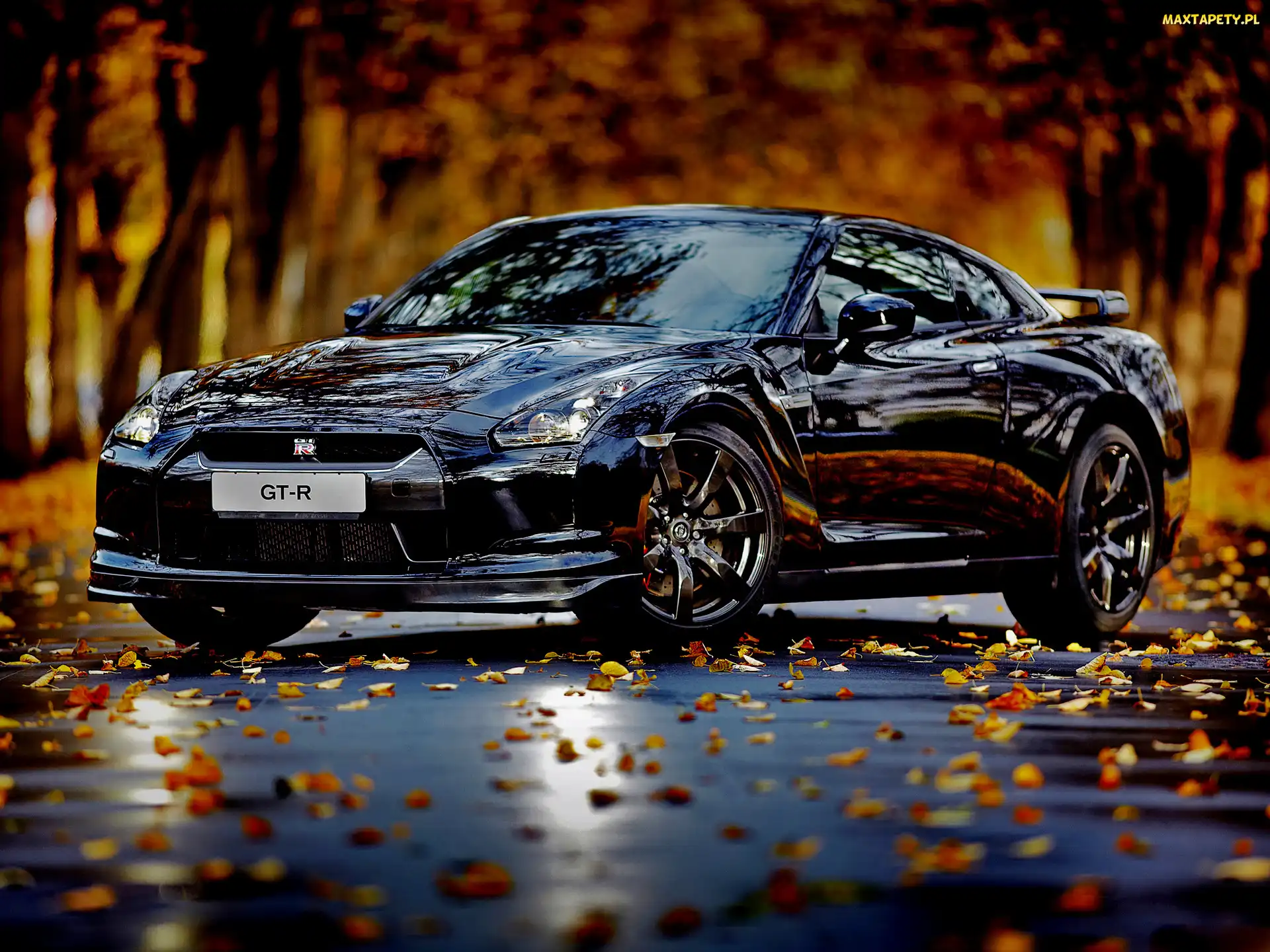 Granatowy, Samochód, Blask, GTR, Jesień, Nissan