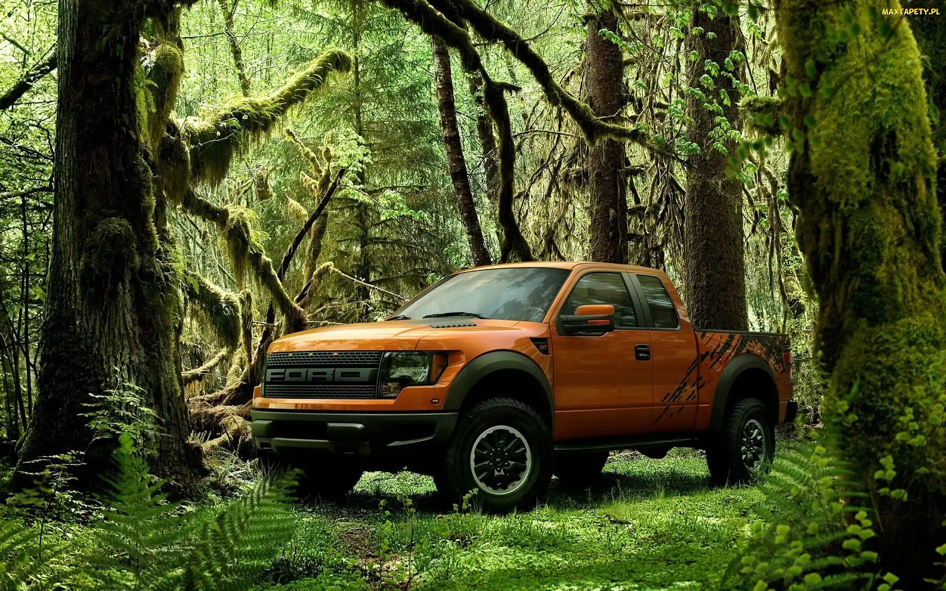Raptor, Dżungla, Ford