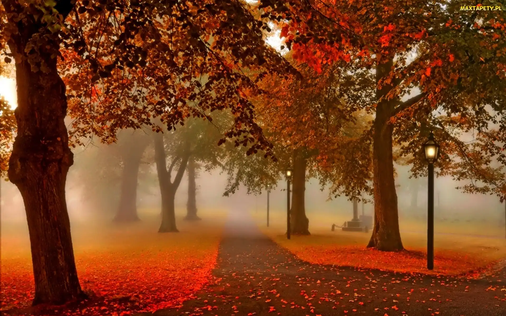 Jesień, Liście, Alejki, Park, Latarnie, Mgła