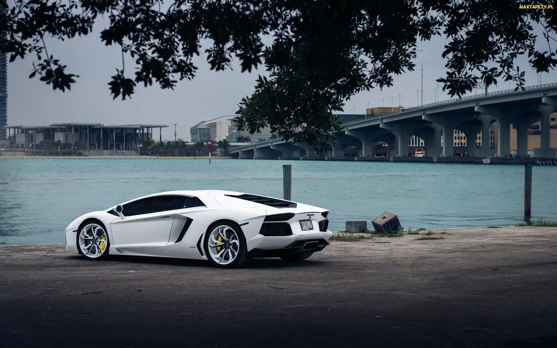 Białe, Most, Rzeka, Lamborghini