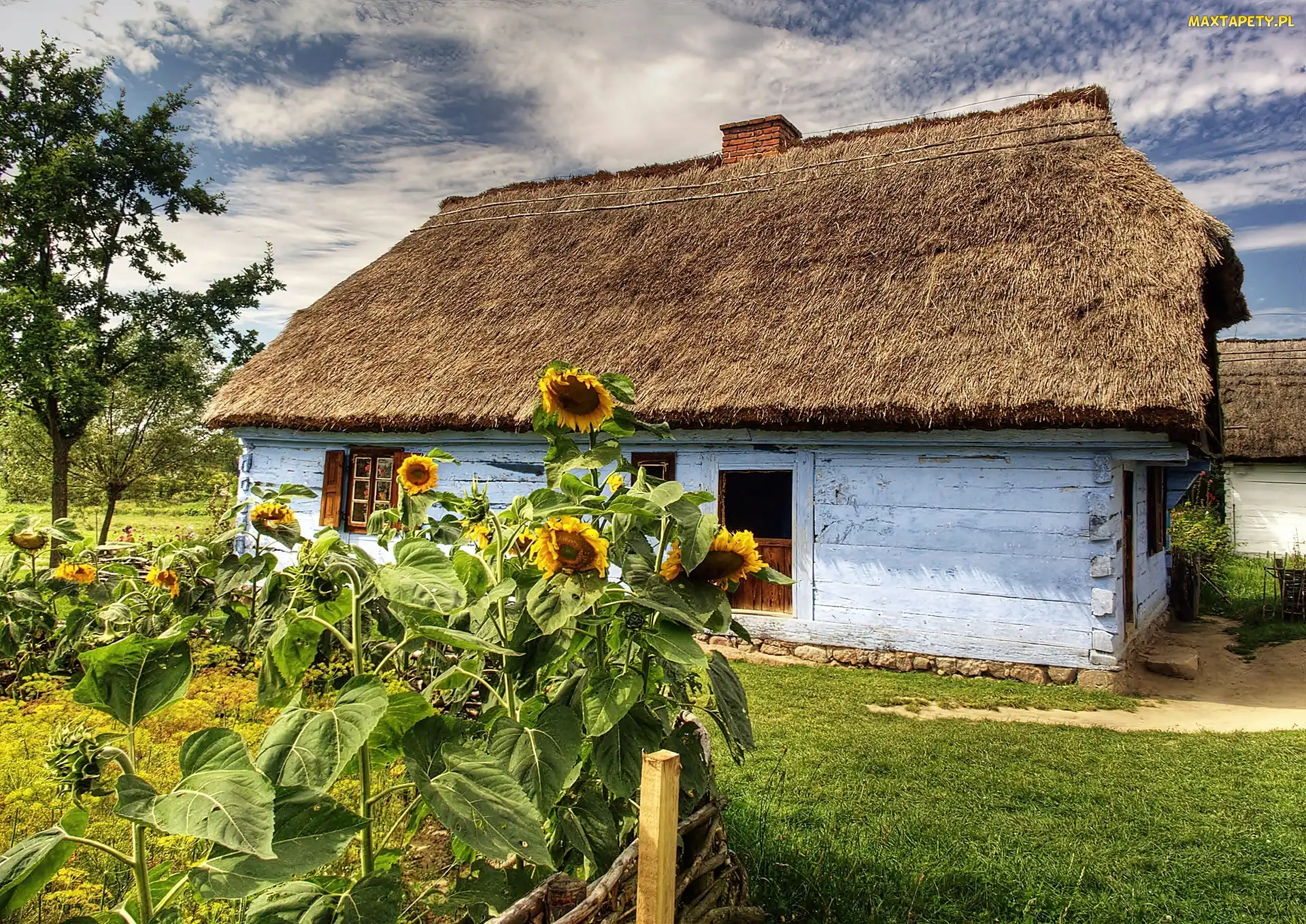 Sierpc, Słoneczniki, Chałupa, Ogródek, Skansen