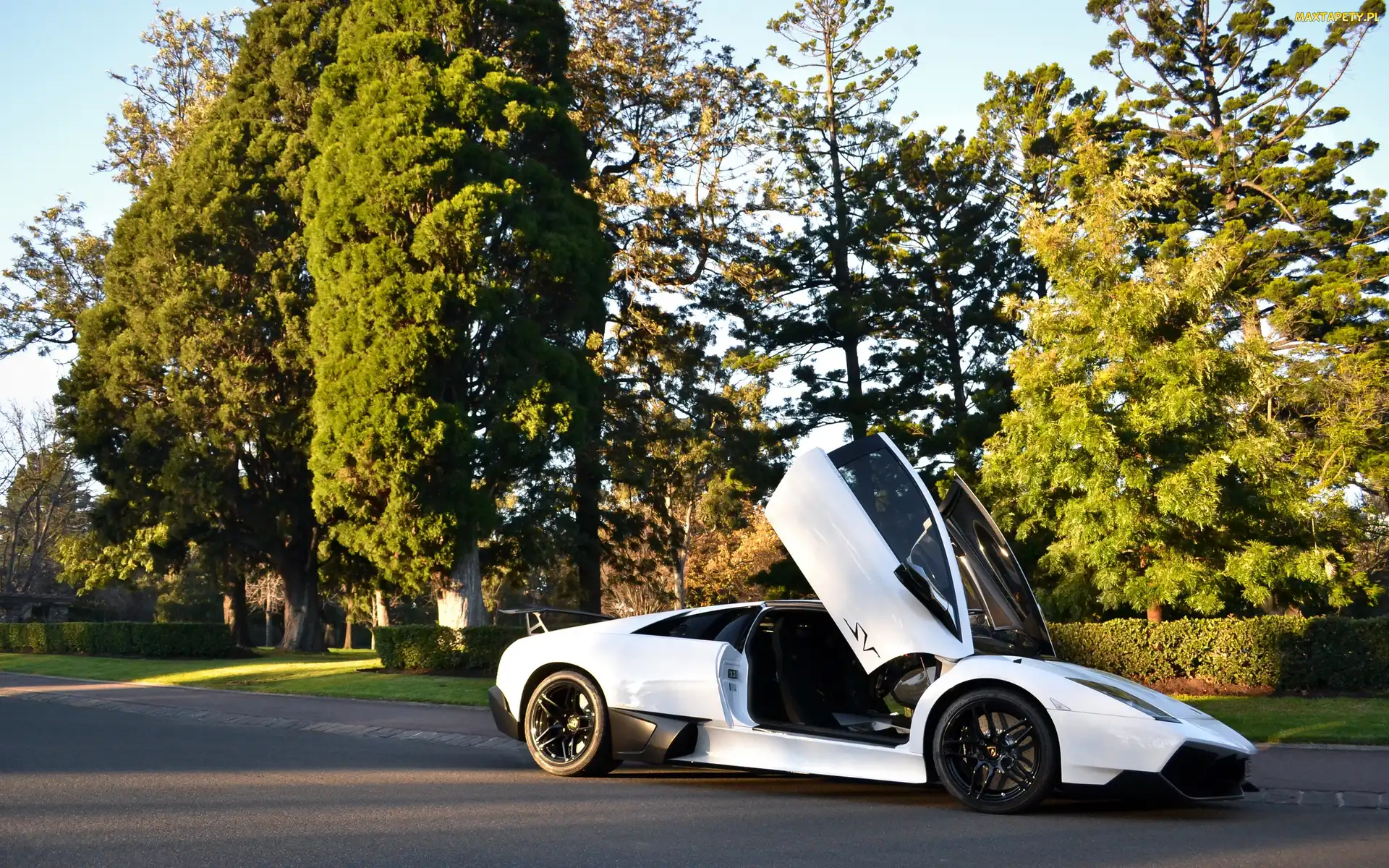 Park, Ulica, Lamborgini, Białe, Murcielago, LP670-4SV