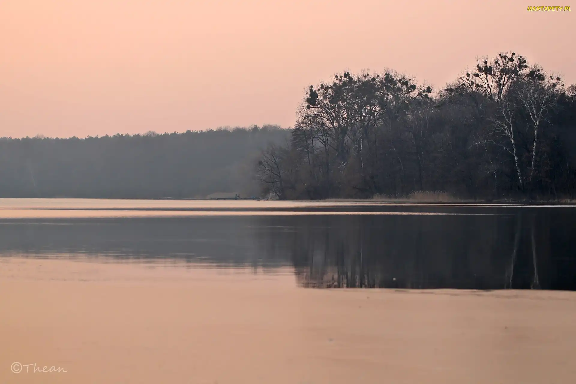 Zmierzch, Drzewa, Topniejące, Jezioro