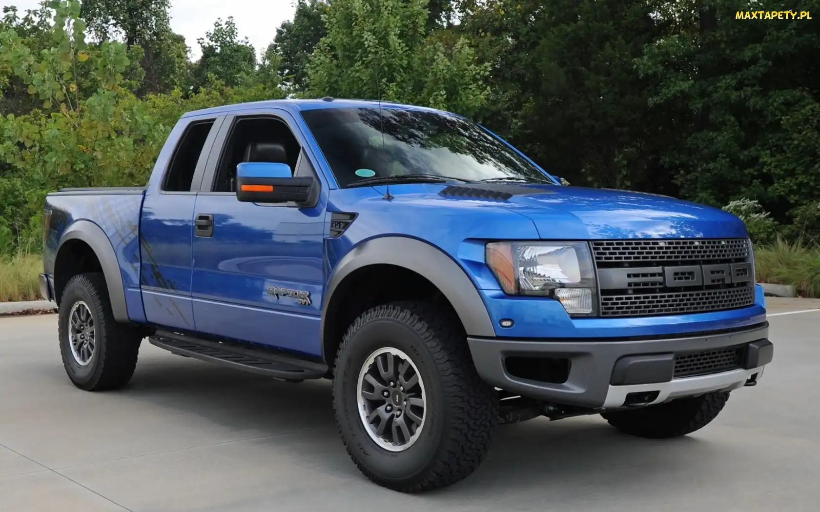 Raptor, Drzewa, Ford