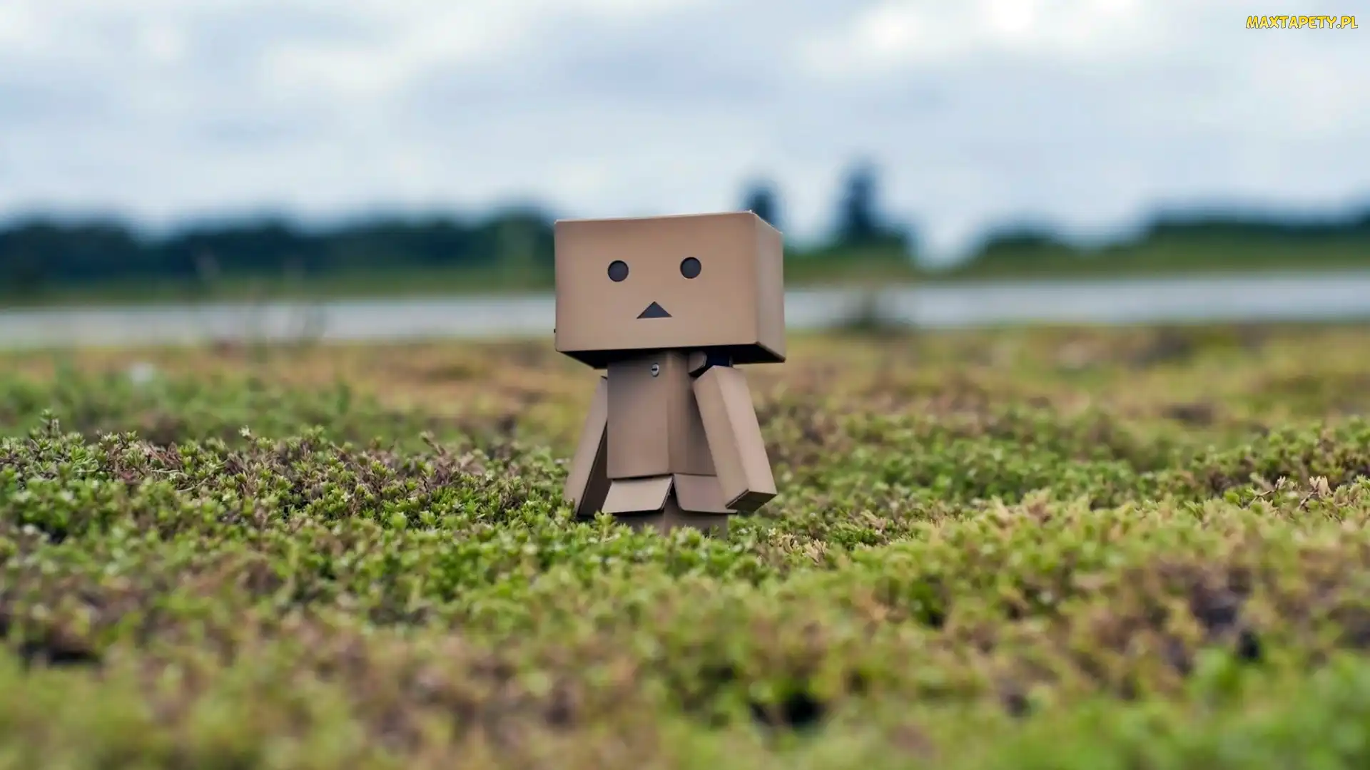 Danbo, Rozmycie, Łąka