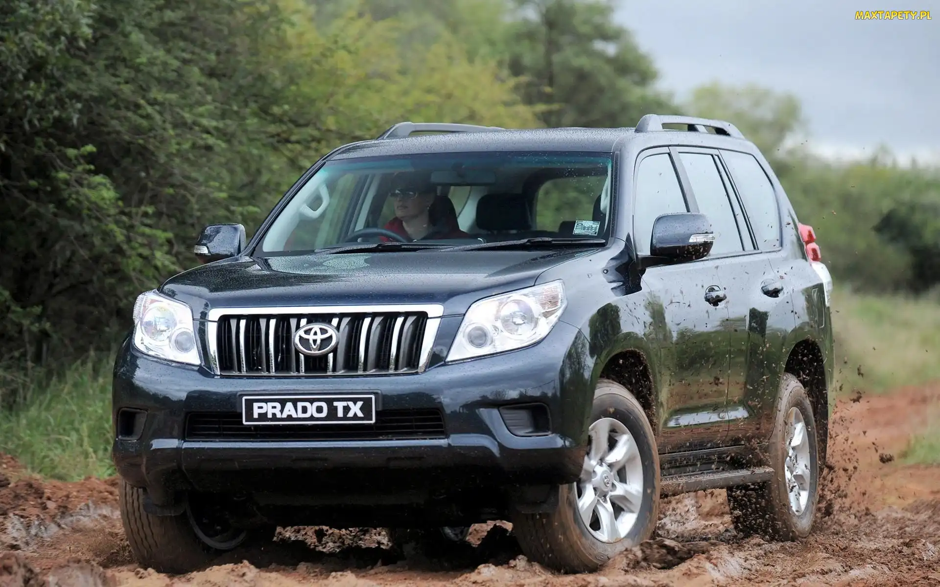 Droga, Prado TX, Toyota, Land Cruiser