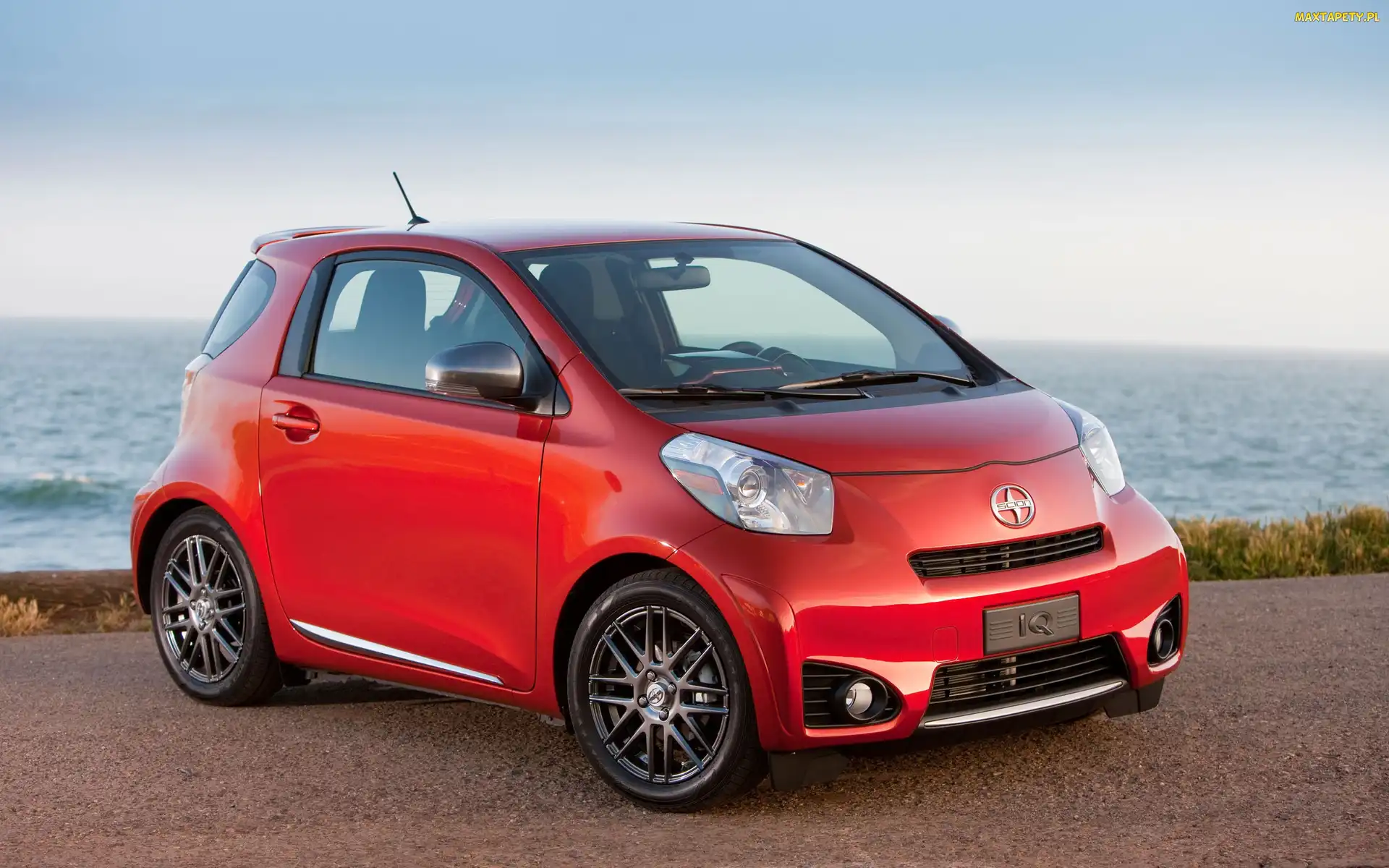 Scion, iQ