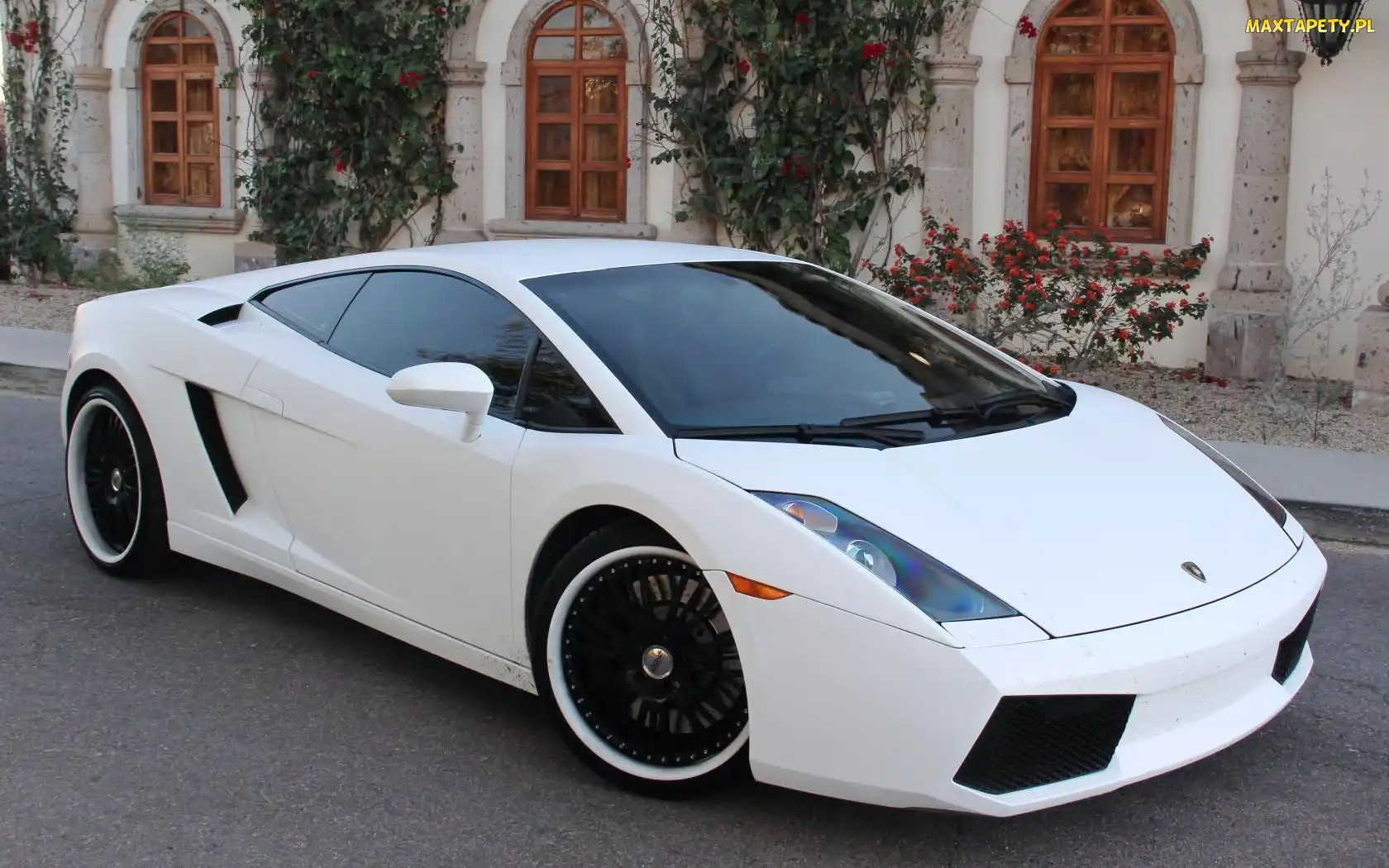Lamborghini Gallardo, Dom, Białe