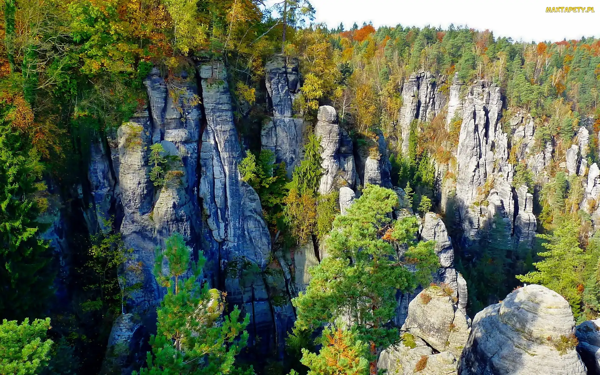 Skały, Las, Saksońska, Szwajcaria, Park, Narodowy