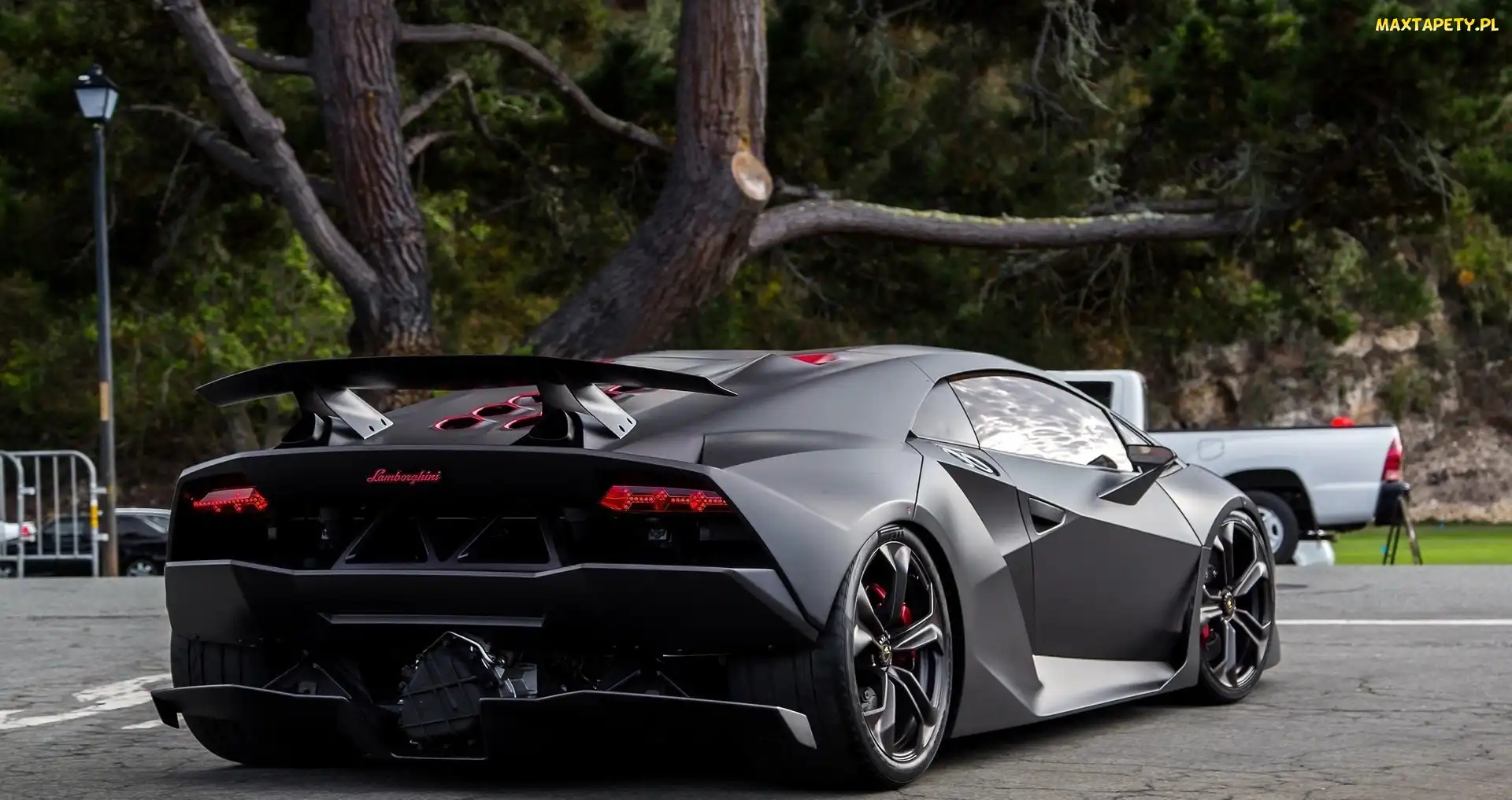 Lamborghini, Drzewo, Ulica, Sesto Elemento, Czarne