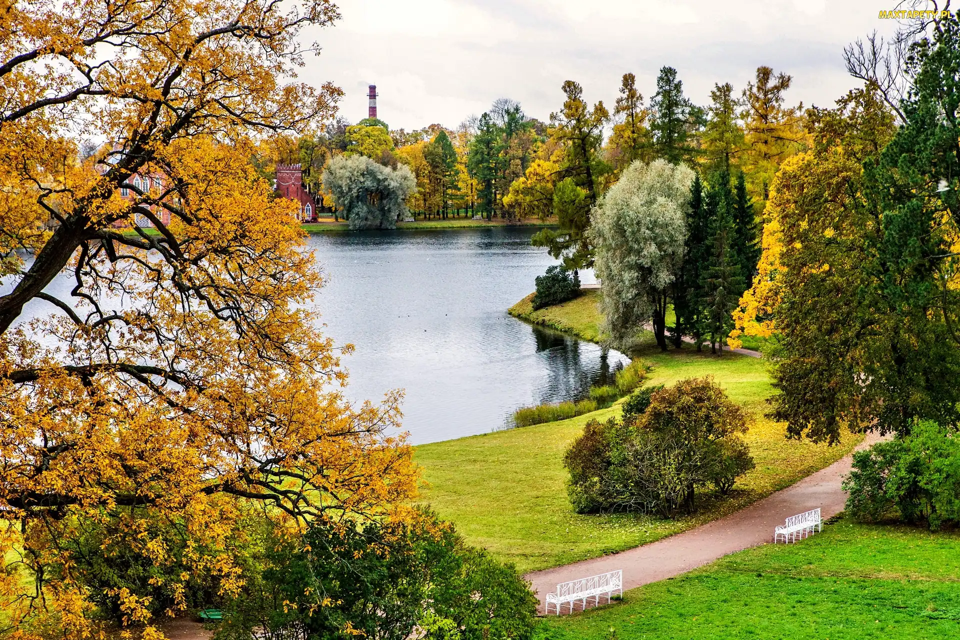 Staw, Jesień, Park