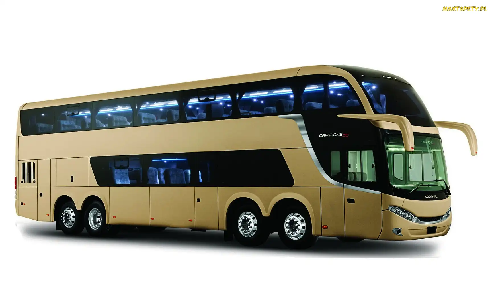 Comil Campione, DD, Autobus