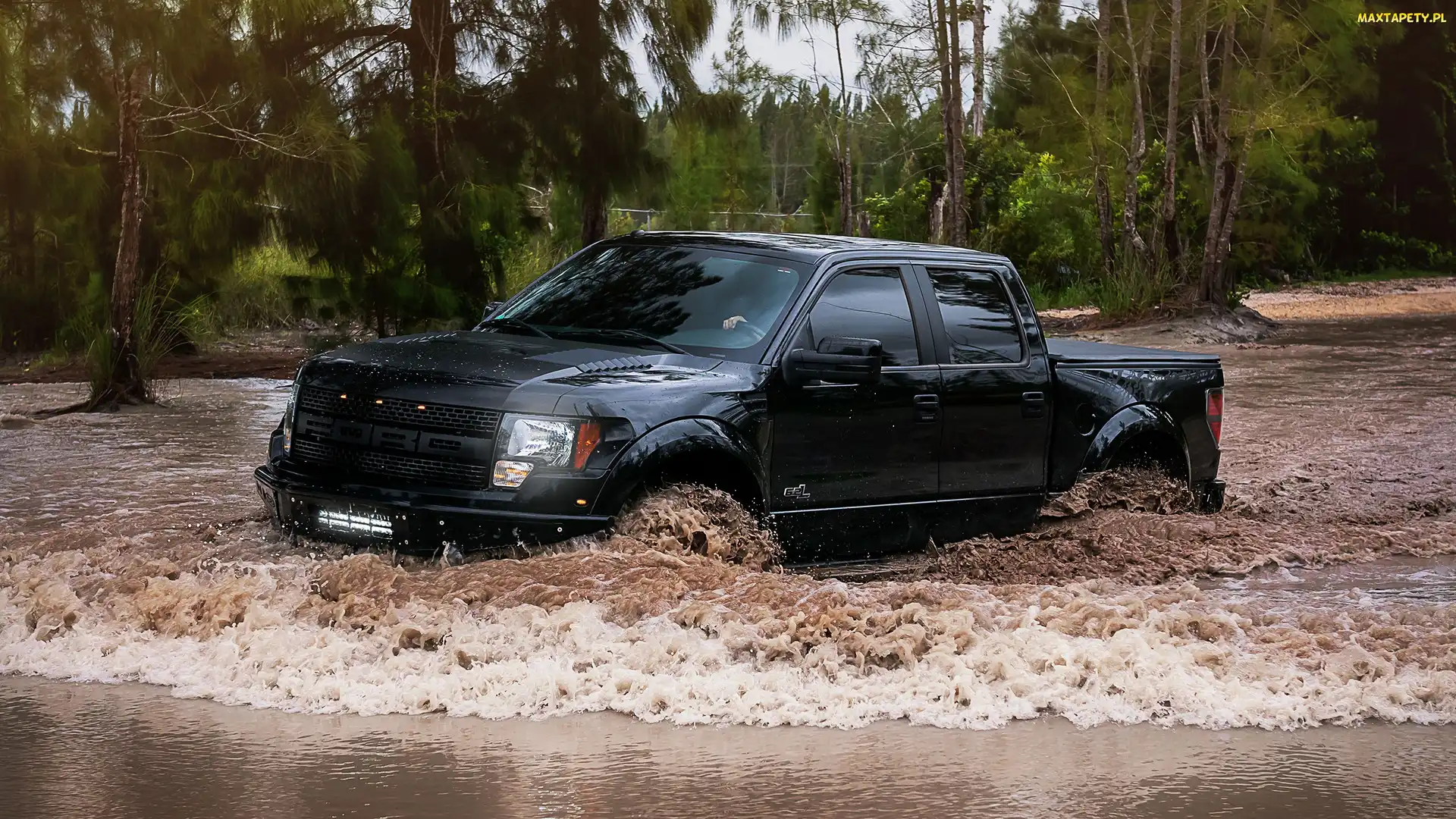 Ford, Drzewa, Rzeka, Raptor