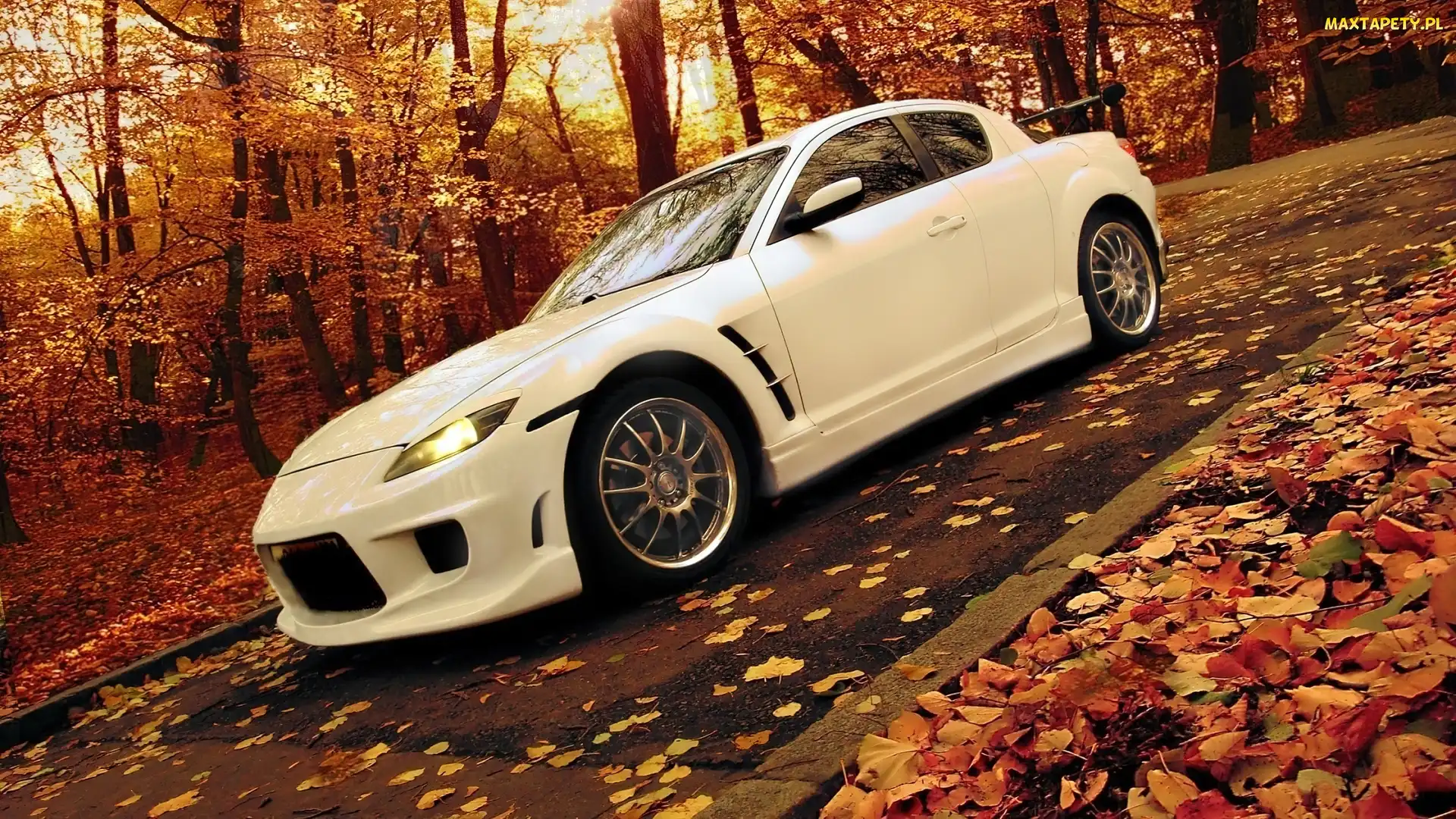 RX-8, Droga, Las, Jesień, Mazda