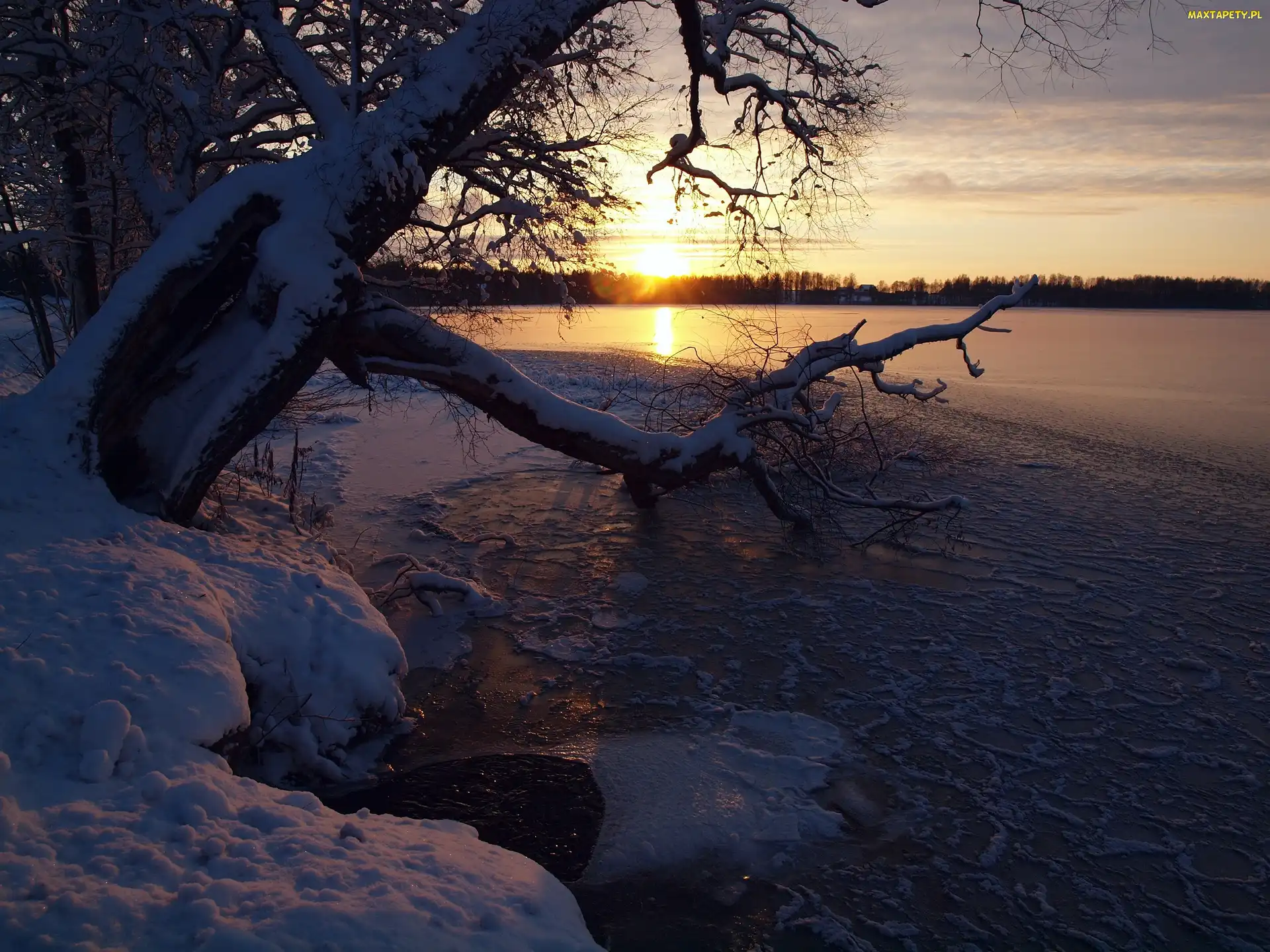 Słońca, Śnieg, Drzewo, Jezioro, Zachód