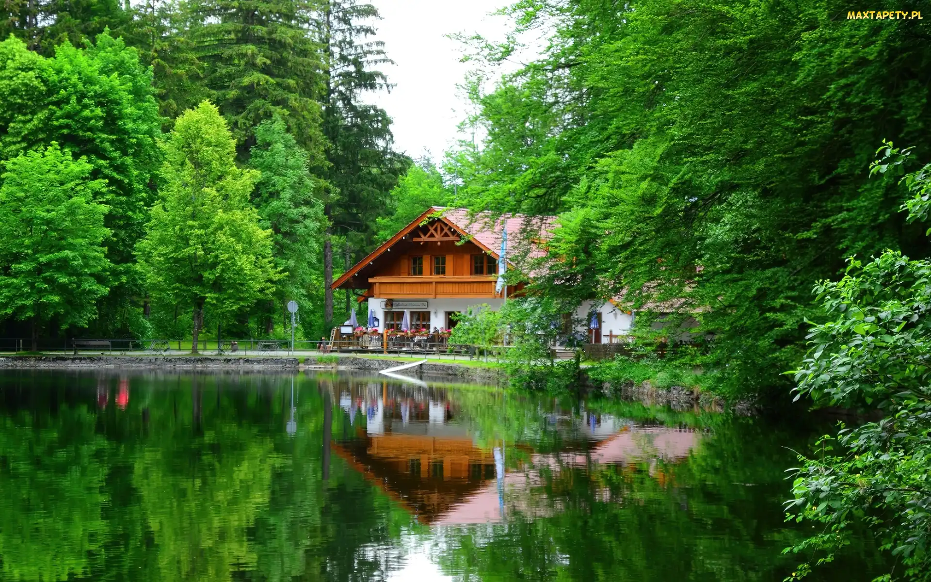 Park, Wiosna, Restauracja, Staw
