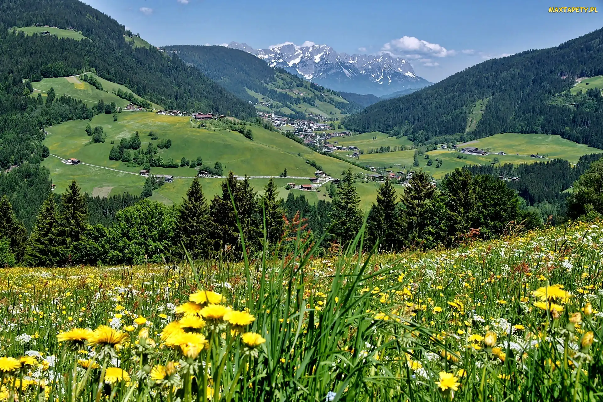 Tyrol, Dolina, Wioska, Lasy, Łąka, Wildschoenau
