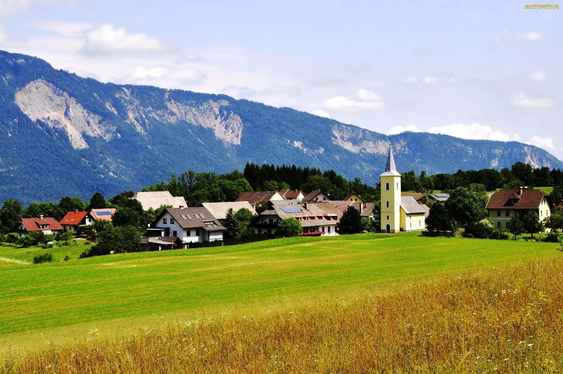 Austria, Łąka, Miasteczko, Góry