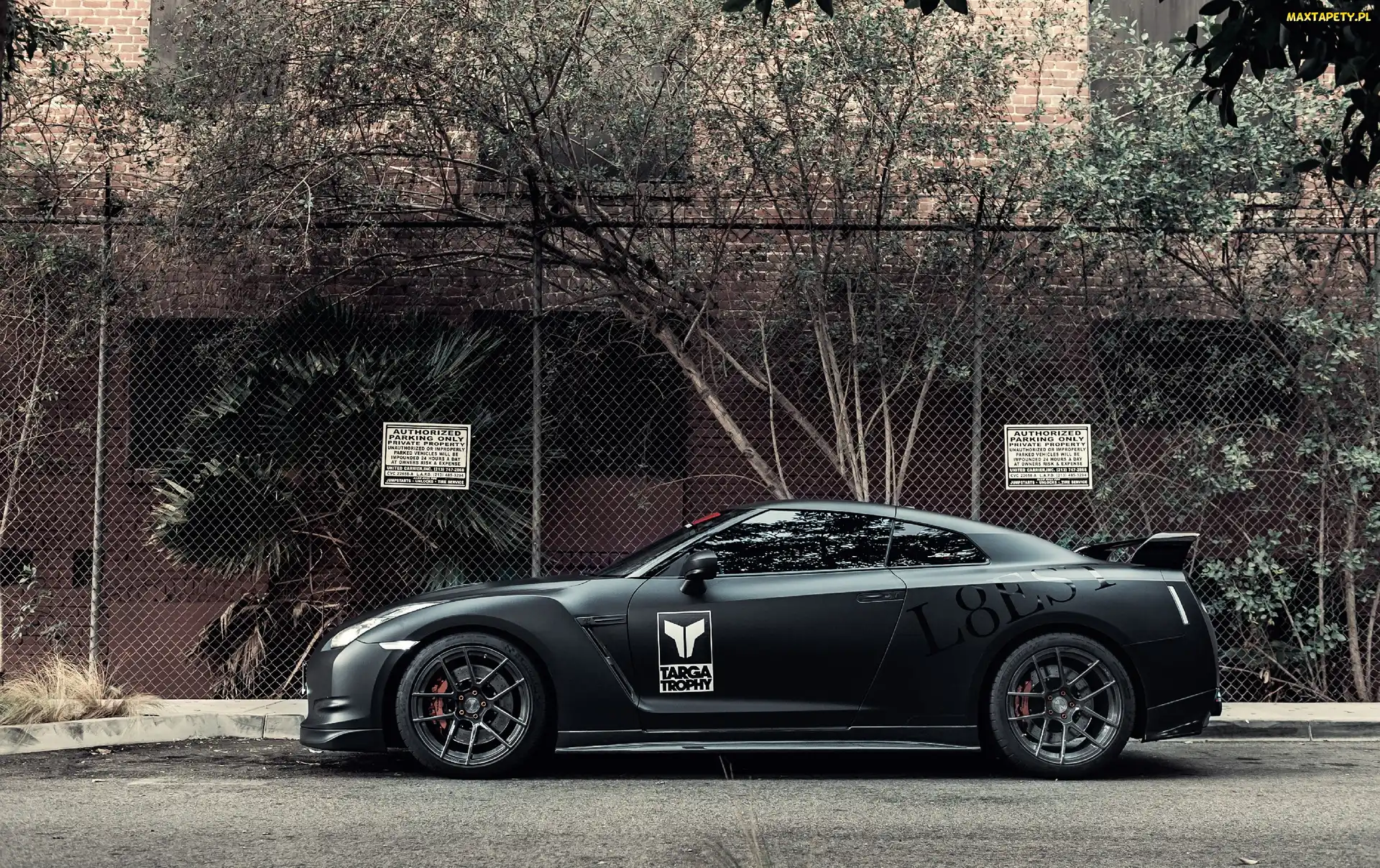 Drzewa, Ogrodzenie, Nissan, GT-R