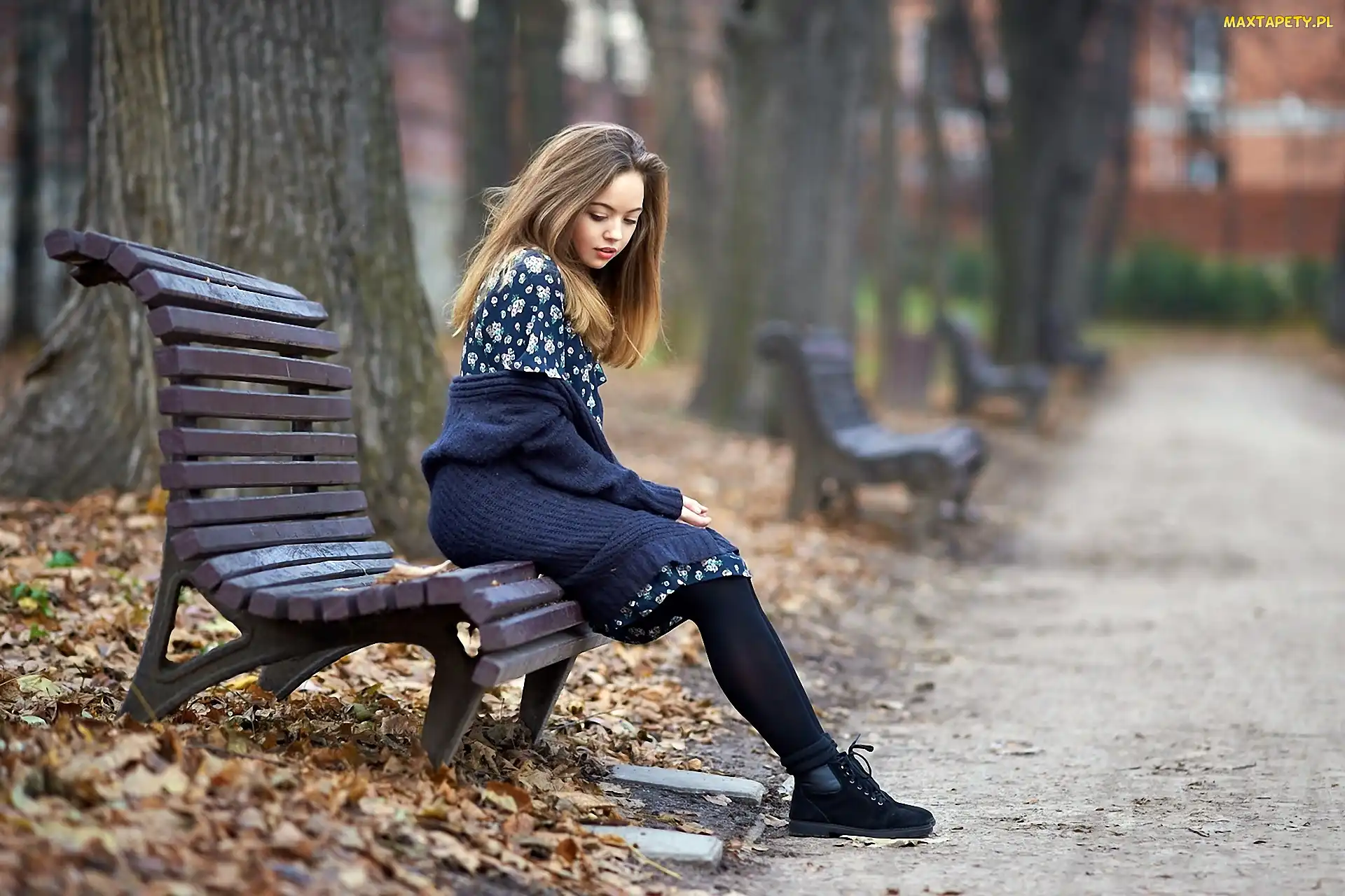 Park, Na Ławce, Dziewczyna, Aleja, Jesień