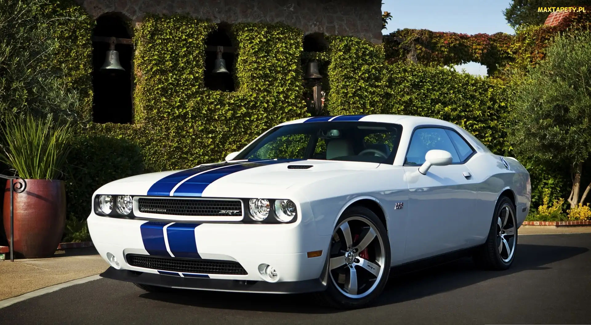 Dom, Dodge Challenger SRT8