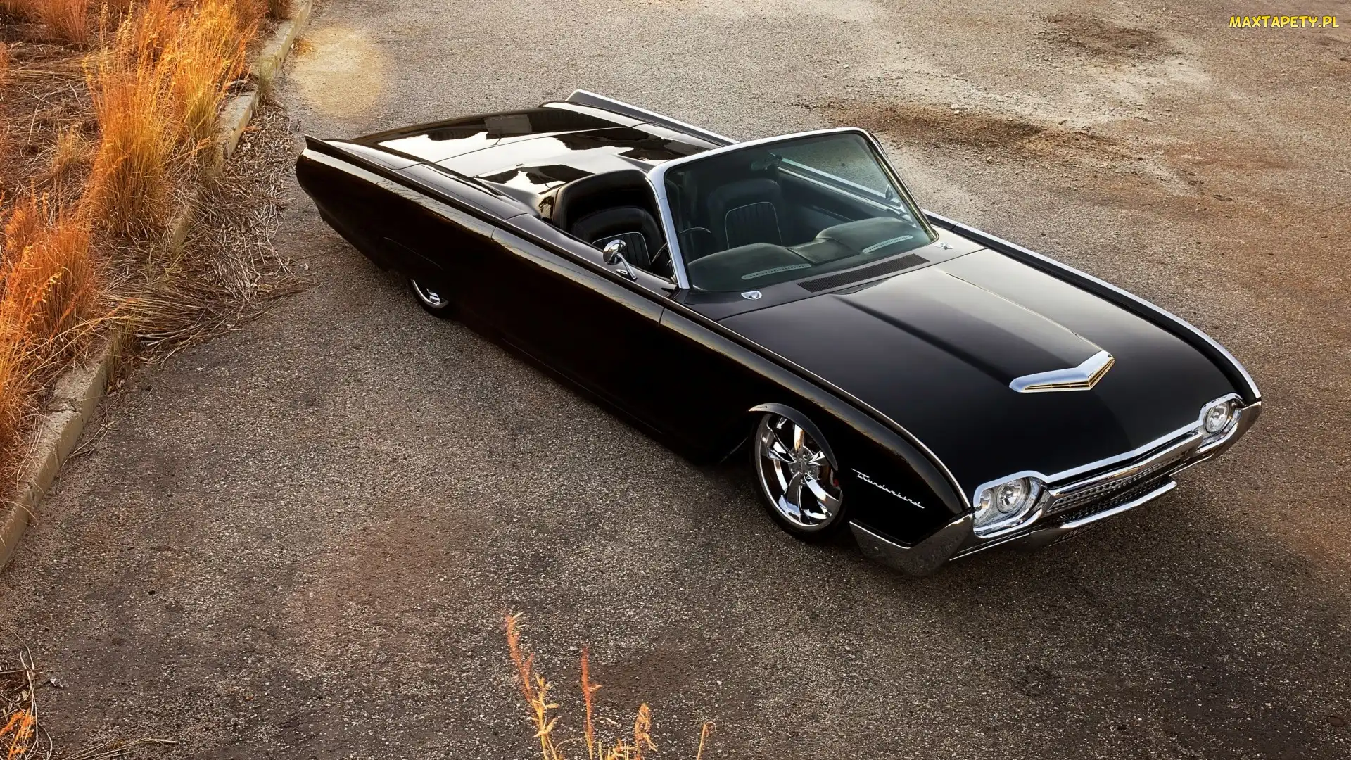 Thunderbird, Ford