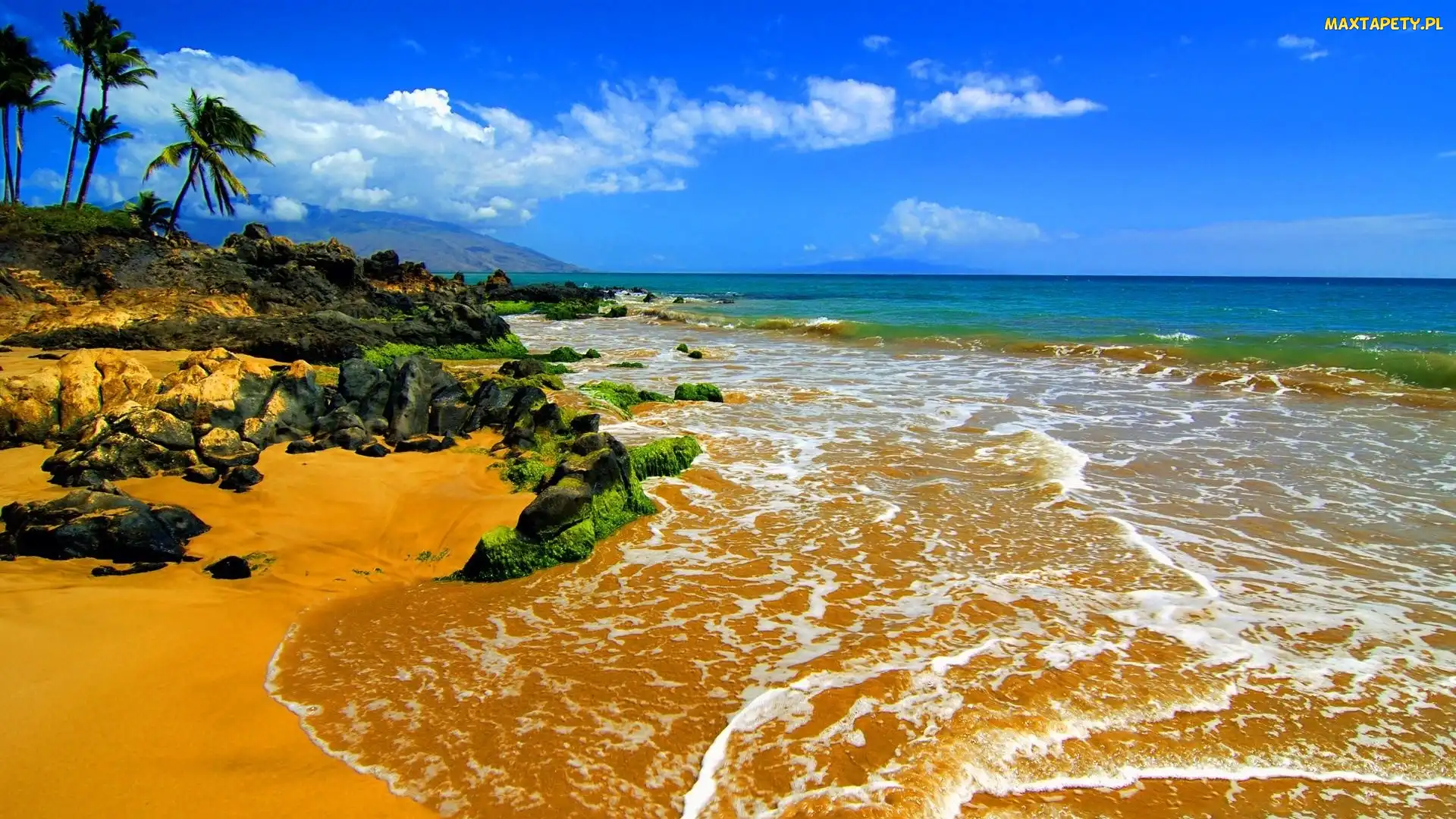 Wybrzeże, Palmy, Morze, Plaża