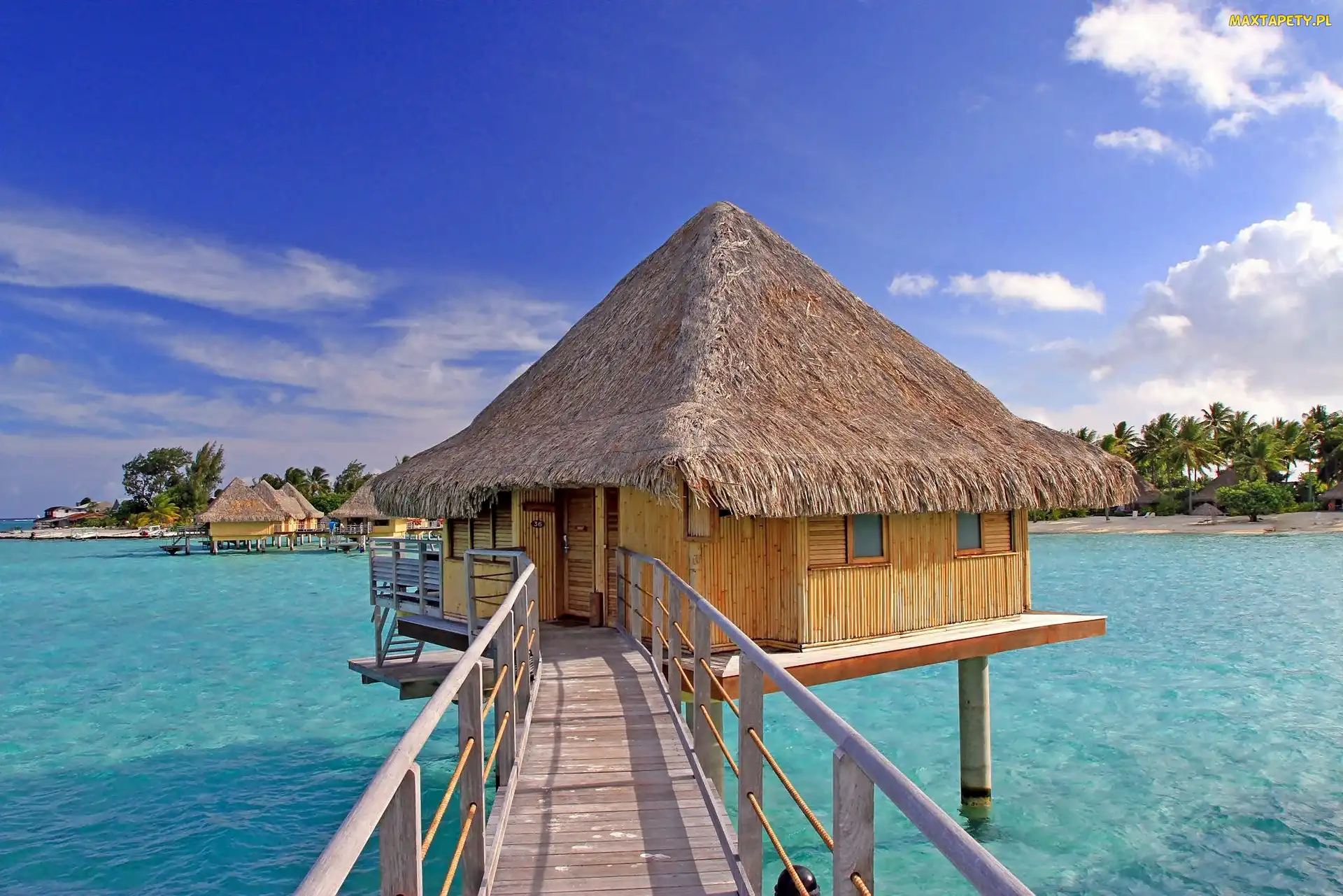 Palmy, Domek na wodzie, Bora Bora, Polinezja Francuska, Morze, Laguna