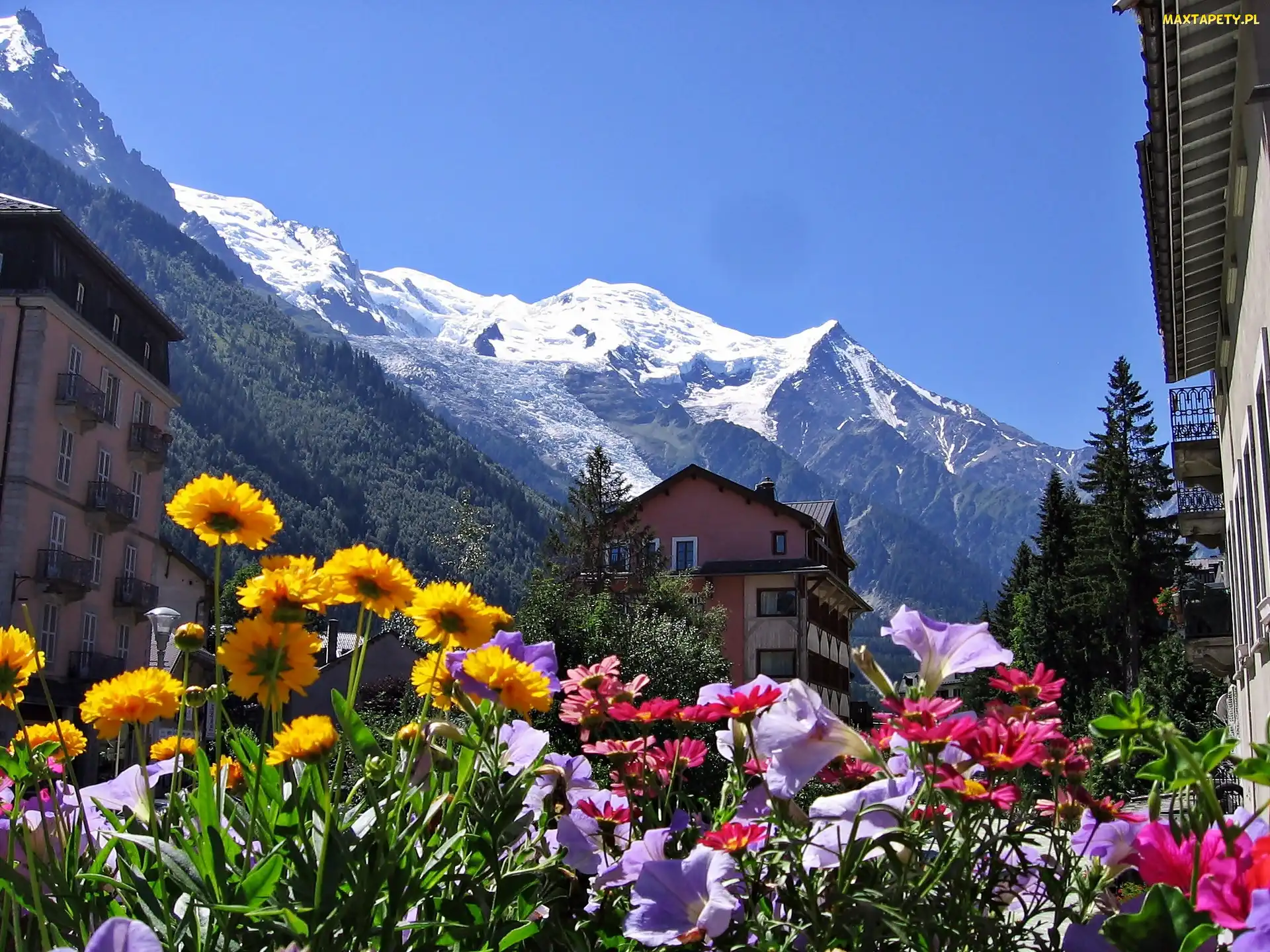 Chamonix, Kwiaty, Góry, Domy