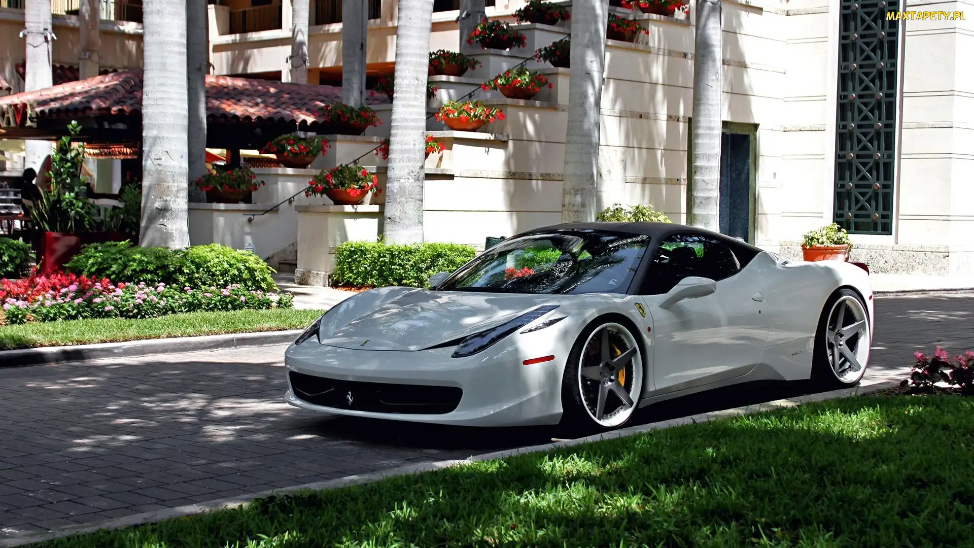 Kwiaty, Dom, Samochód, Biały, Ferrari, 458 Italia