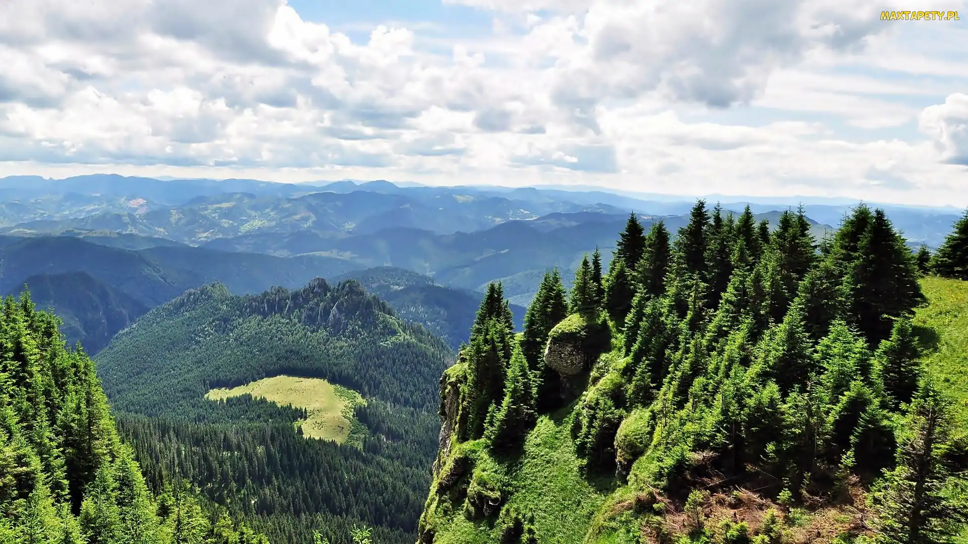 Masyw, Wschodnie, Karpaty, Celahlau, Lasy