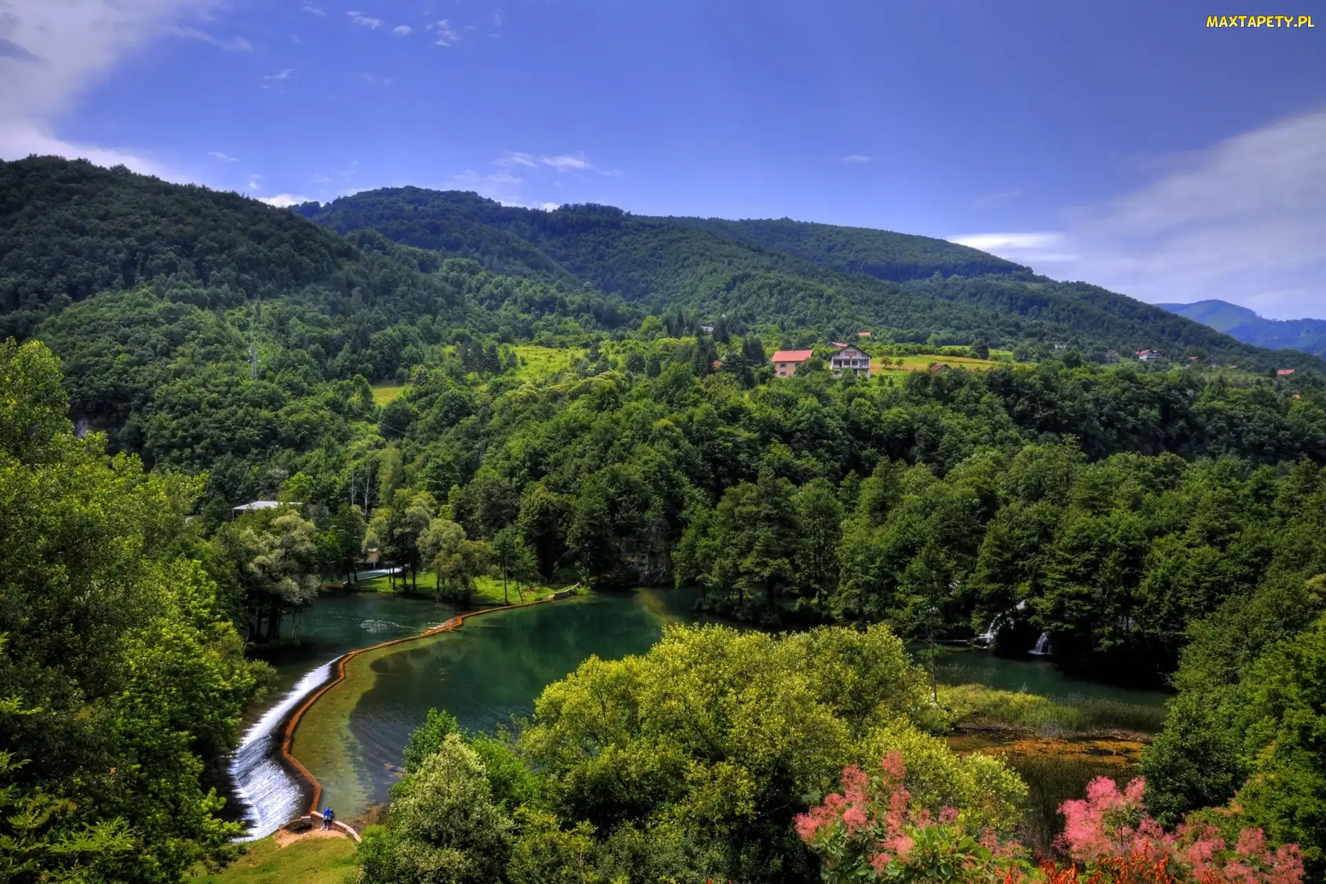 Lato, Jezioro, Góry, Lasy