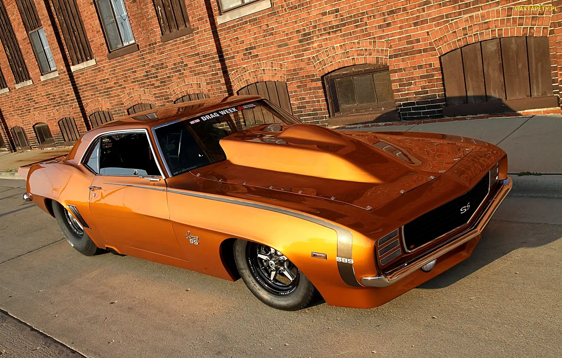 Camaro, 1969, Chevrolet