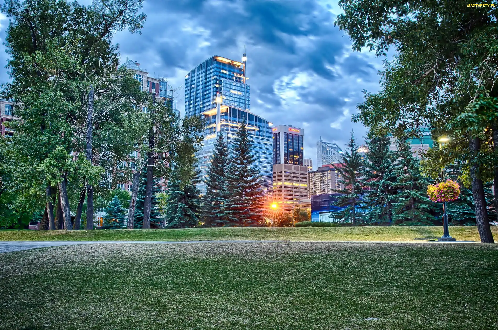 Calgary, Chmury, Drapacze Chmur, Park