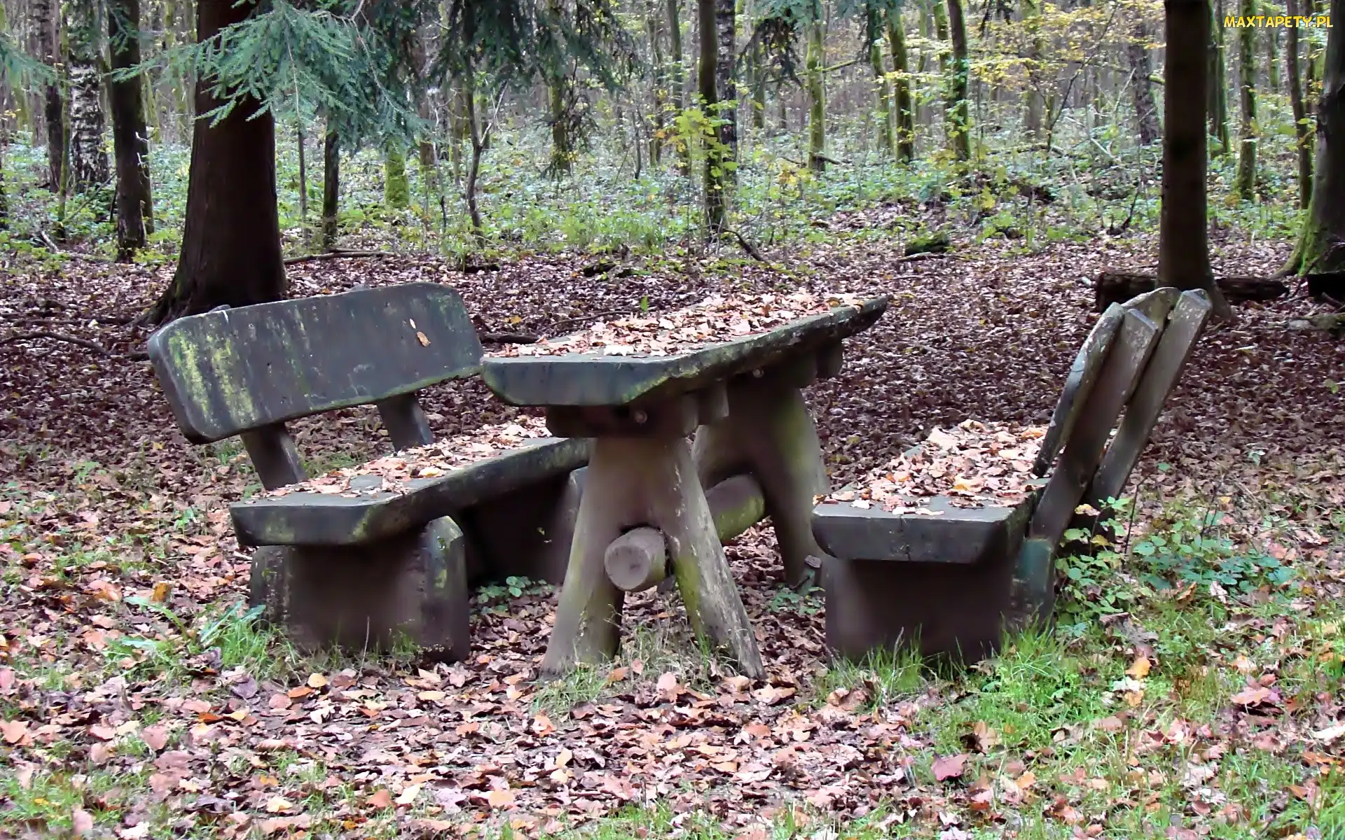 Park, Liście, Stół, Ławki, Jesień