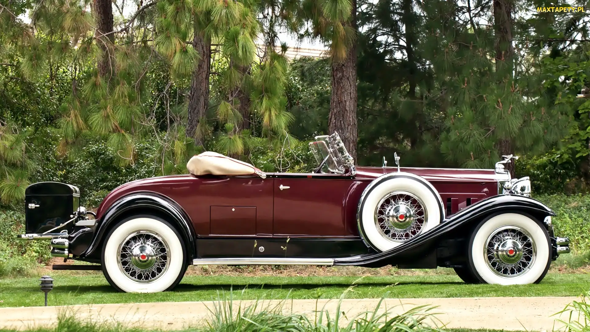 Zabytkowy, 1931, Deluxe, Packard, Samochód