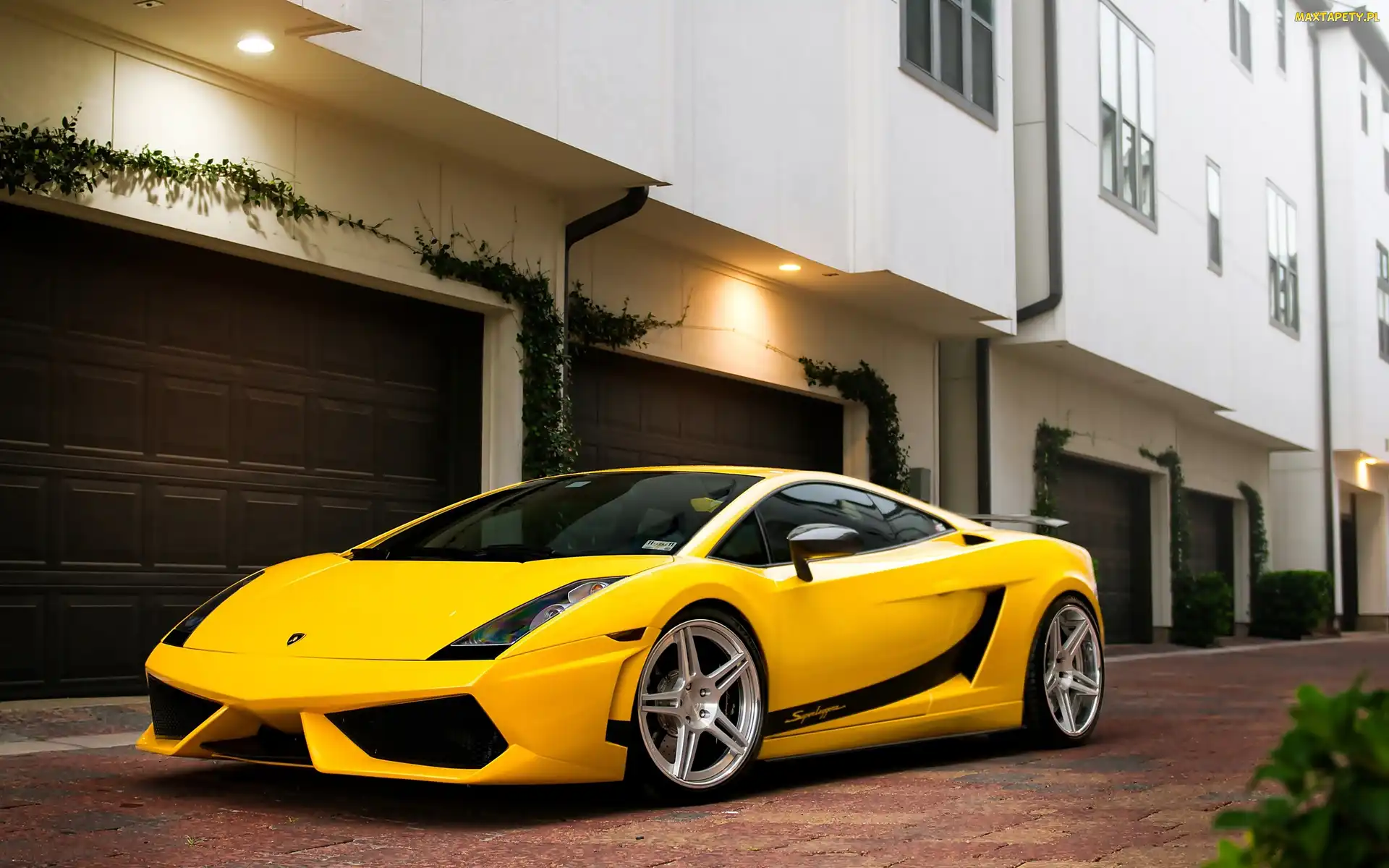 Lamborghini, Gallardo, Żółte