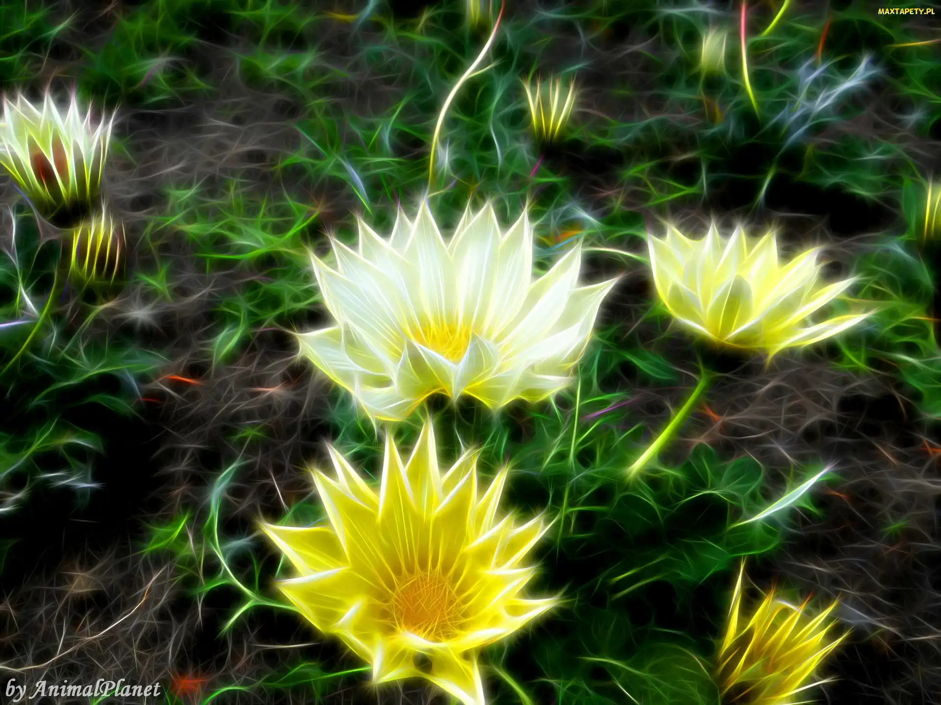Przyroda, Fractalius, Kwiaty