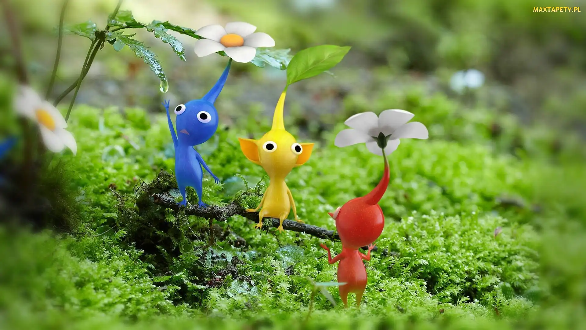 Listek, Pikmin, Kwiatki