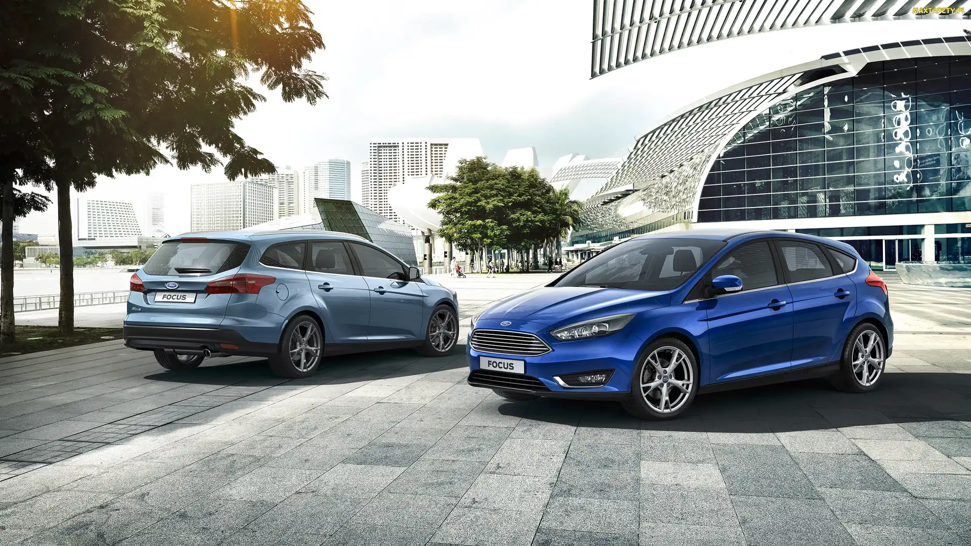 Focus, Ford